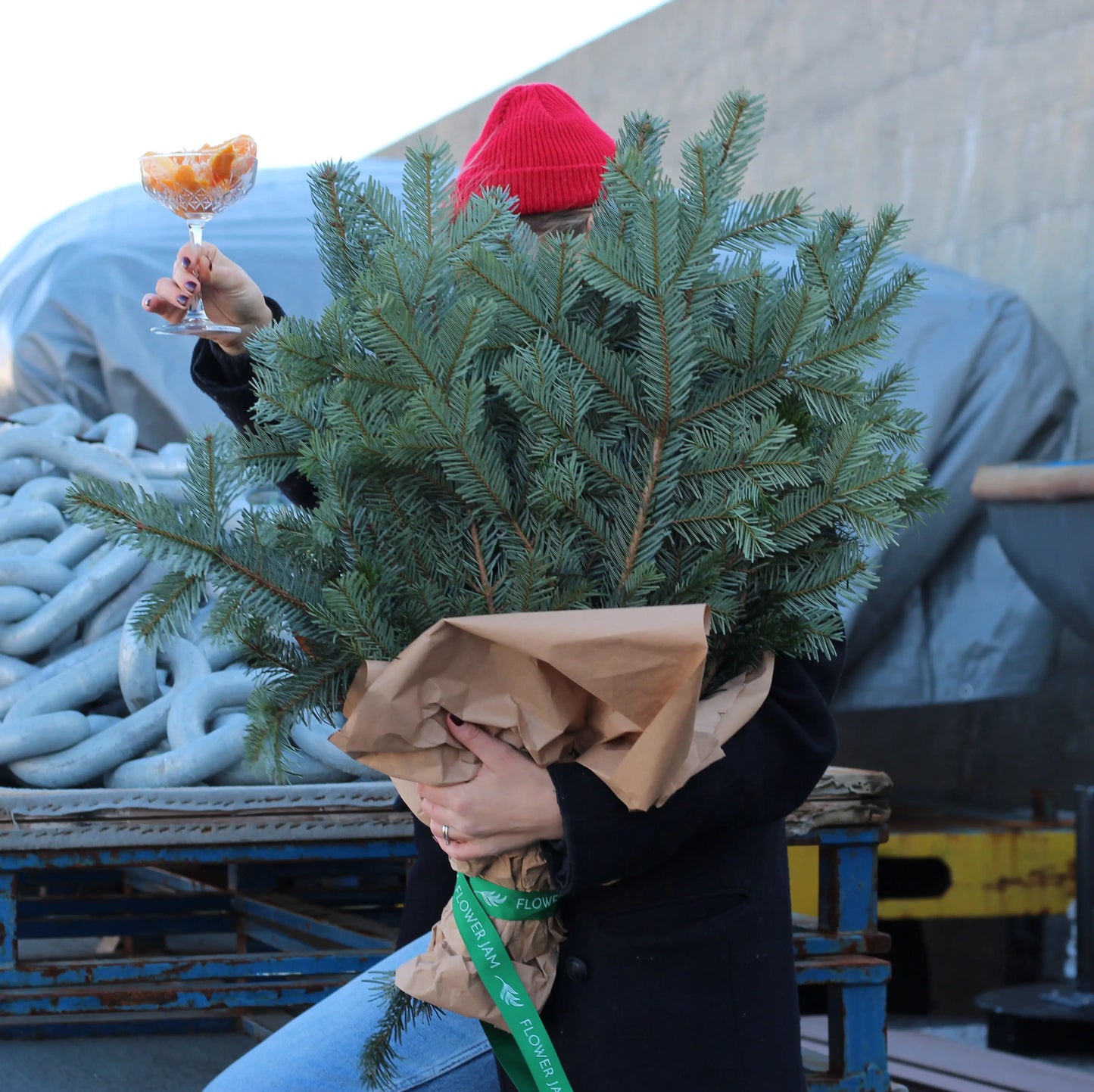 bunch of christmas trees