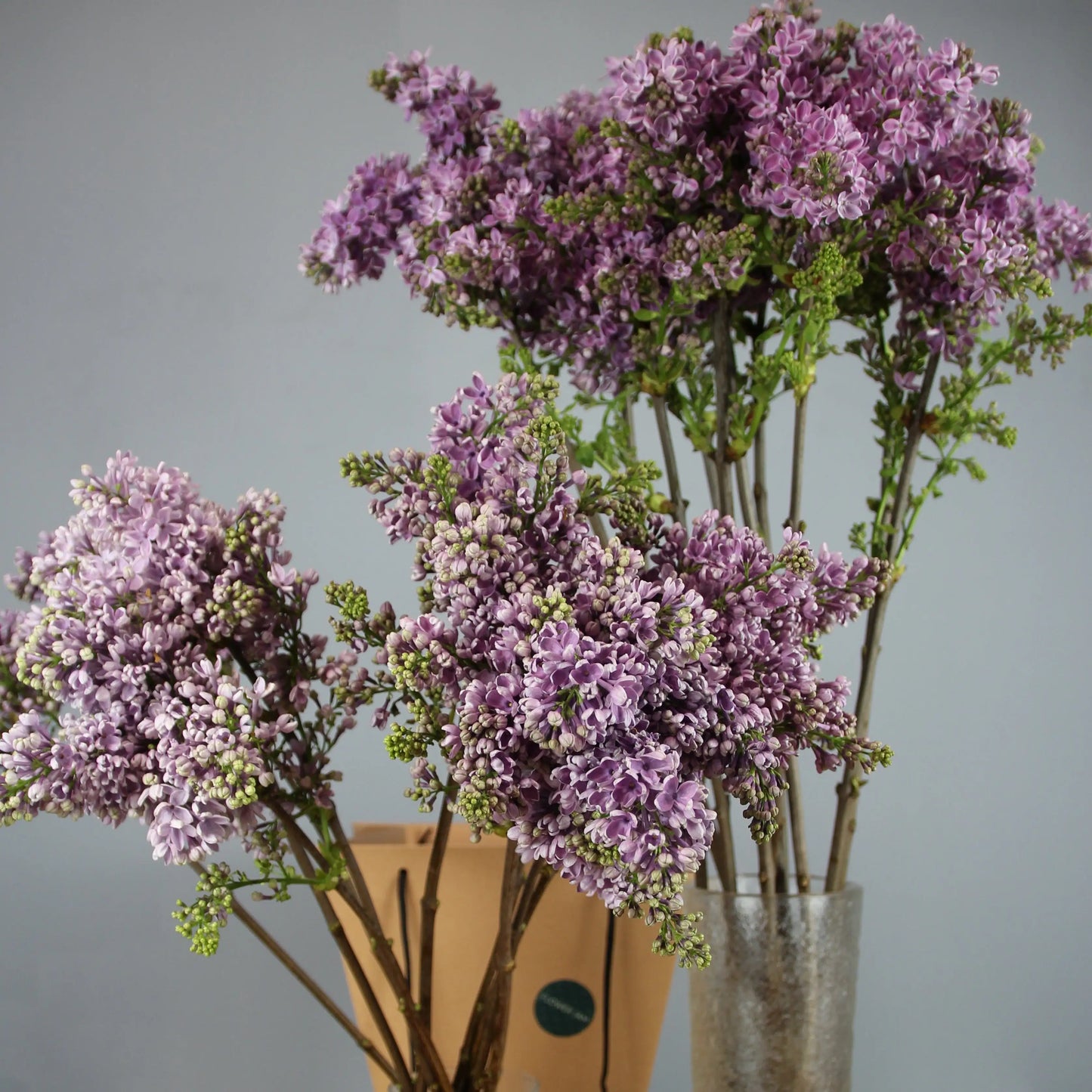 lilac delivery in Genoa Bouquet of Flowers