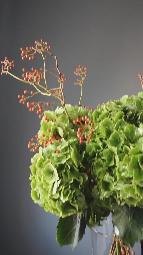 Frullato verde - video preview image