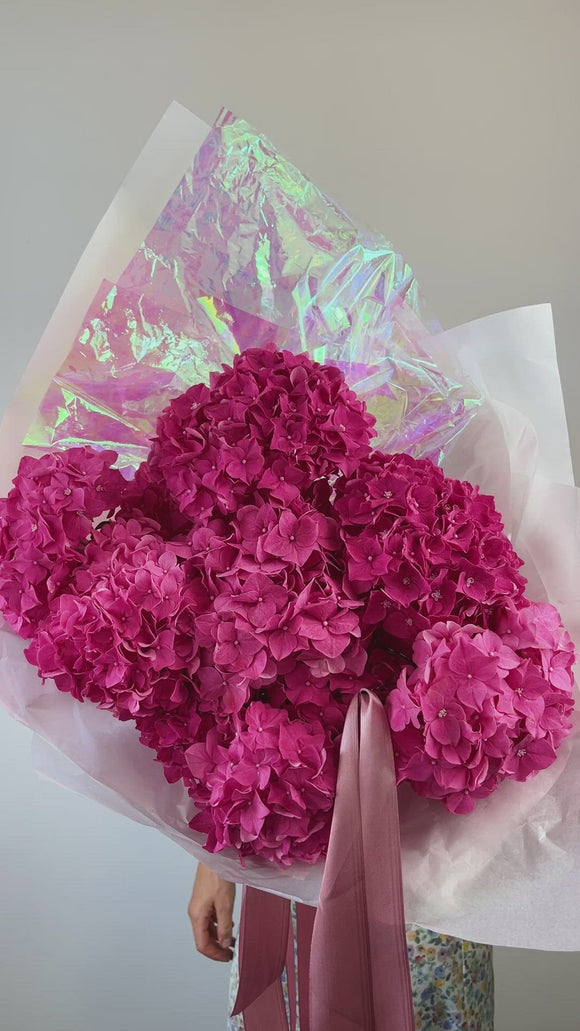 Mazzo di Ortensie rosse - video preview image