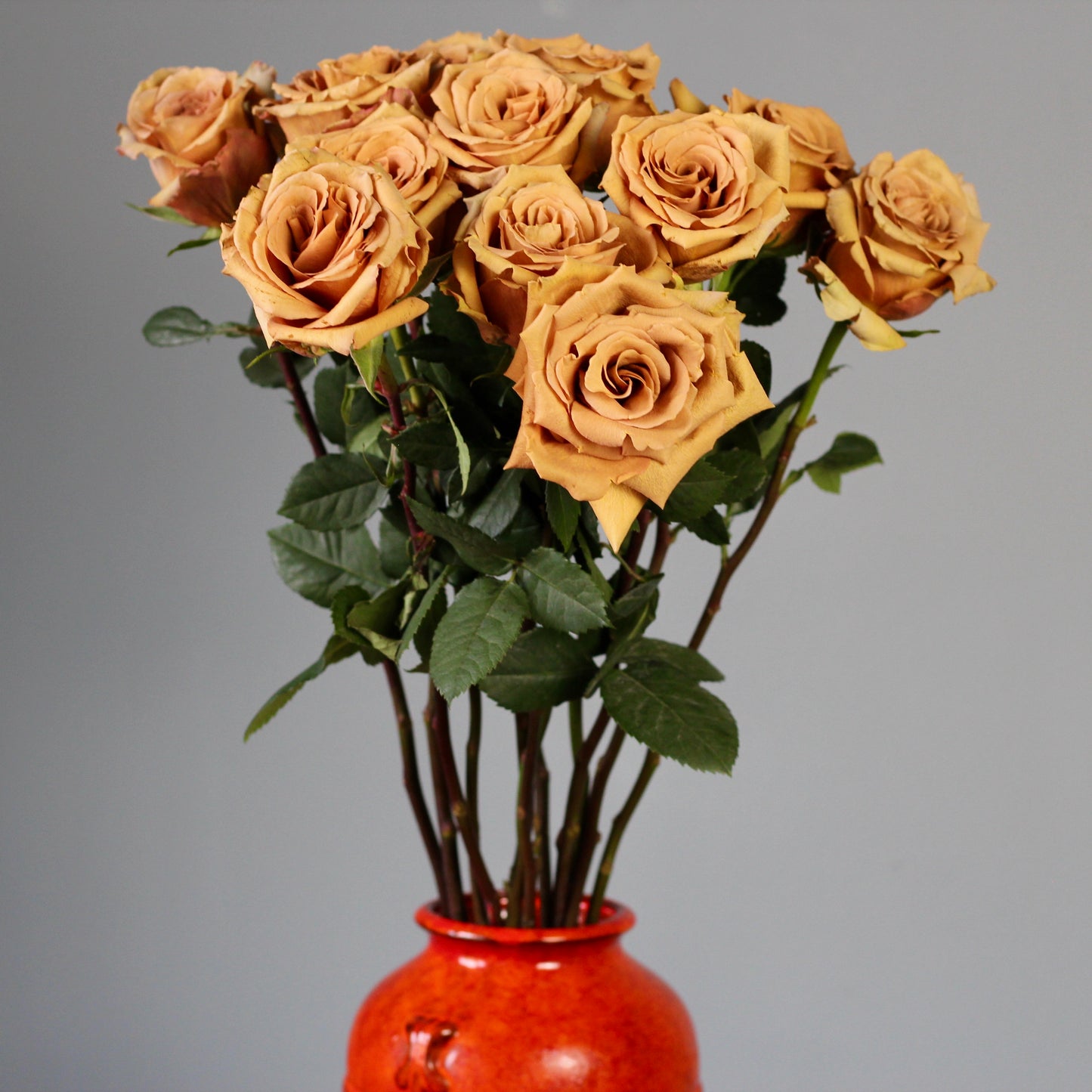 vases gifts in Genoa