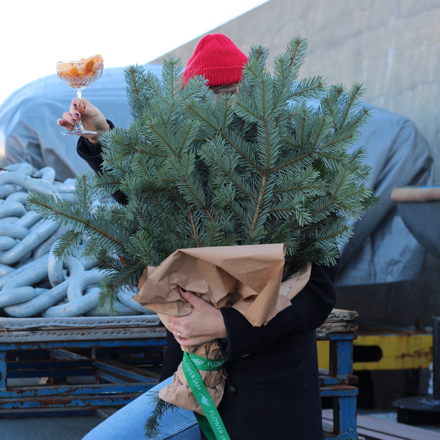 how much cost christmas tree in Genoa