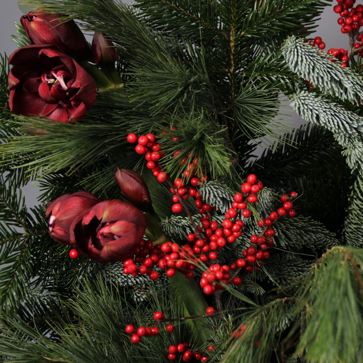 Fiorista a natale in Genova