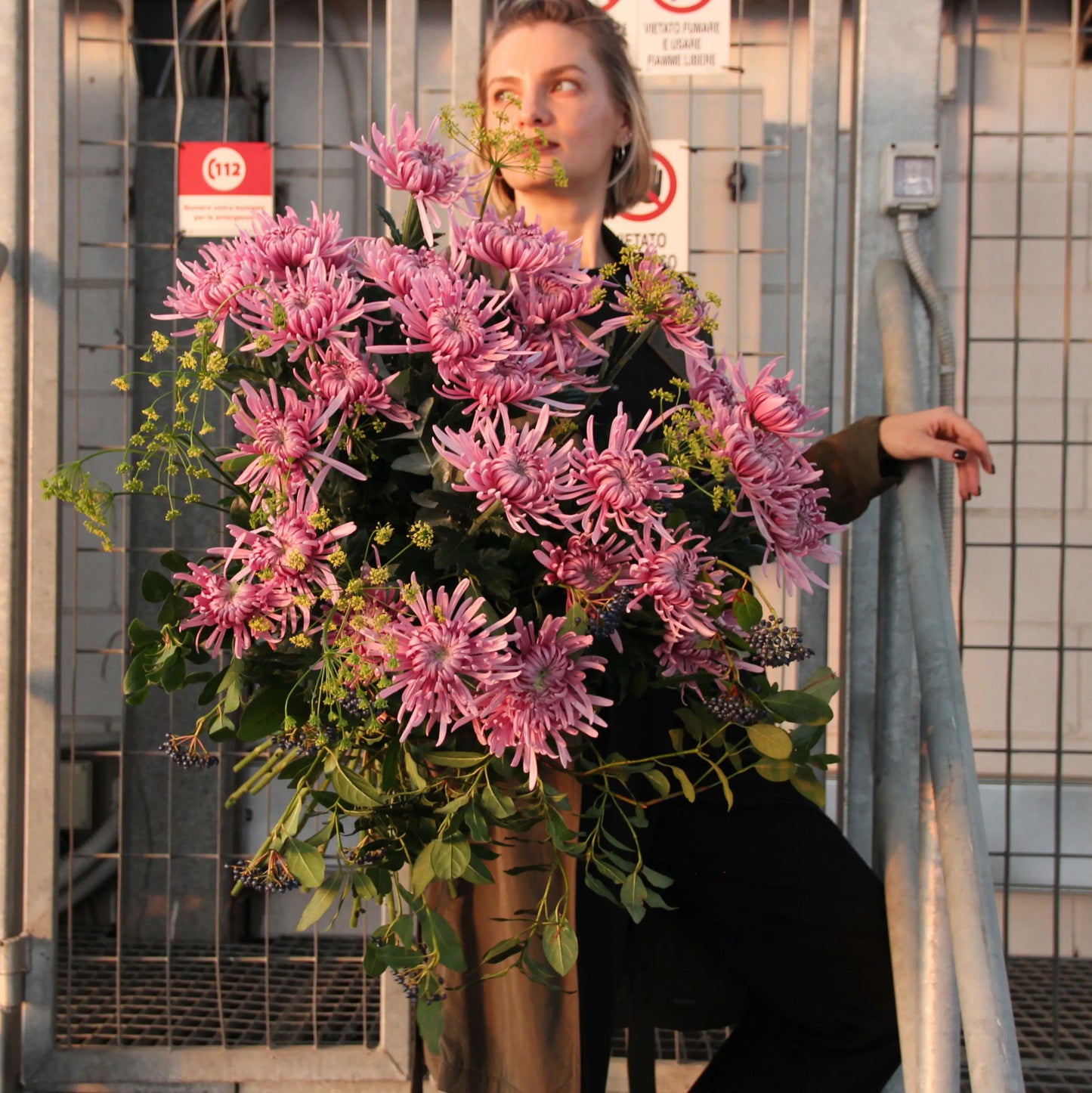 bouquet of pink Chrysanthemum in Genova