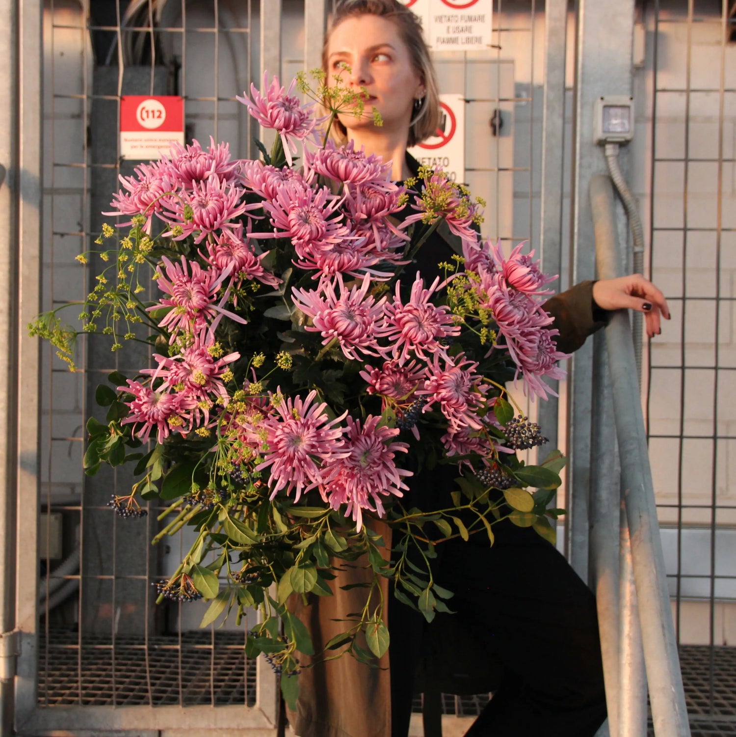 bouquet of pink Chrysanthemum in Genova