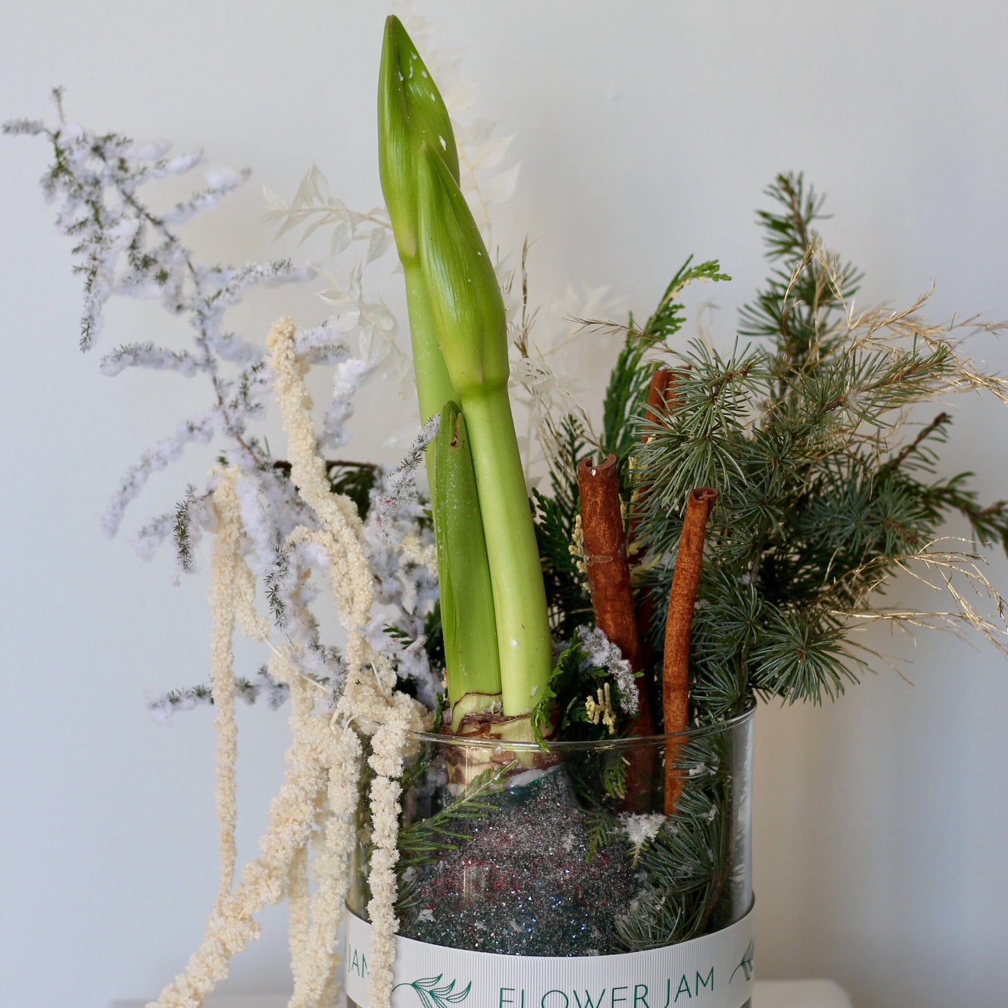 Amaryllis cennamon pinetree arrangement

