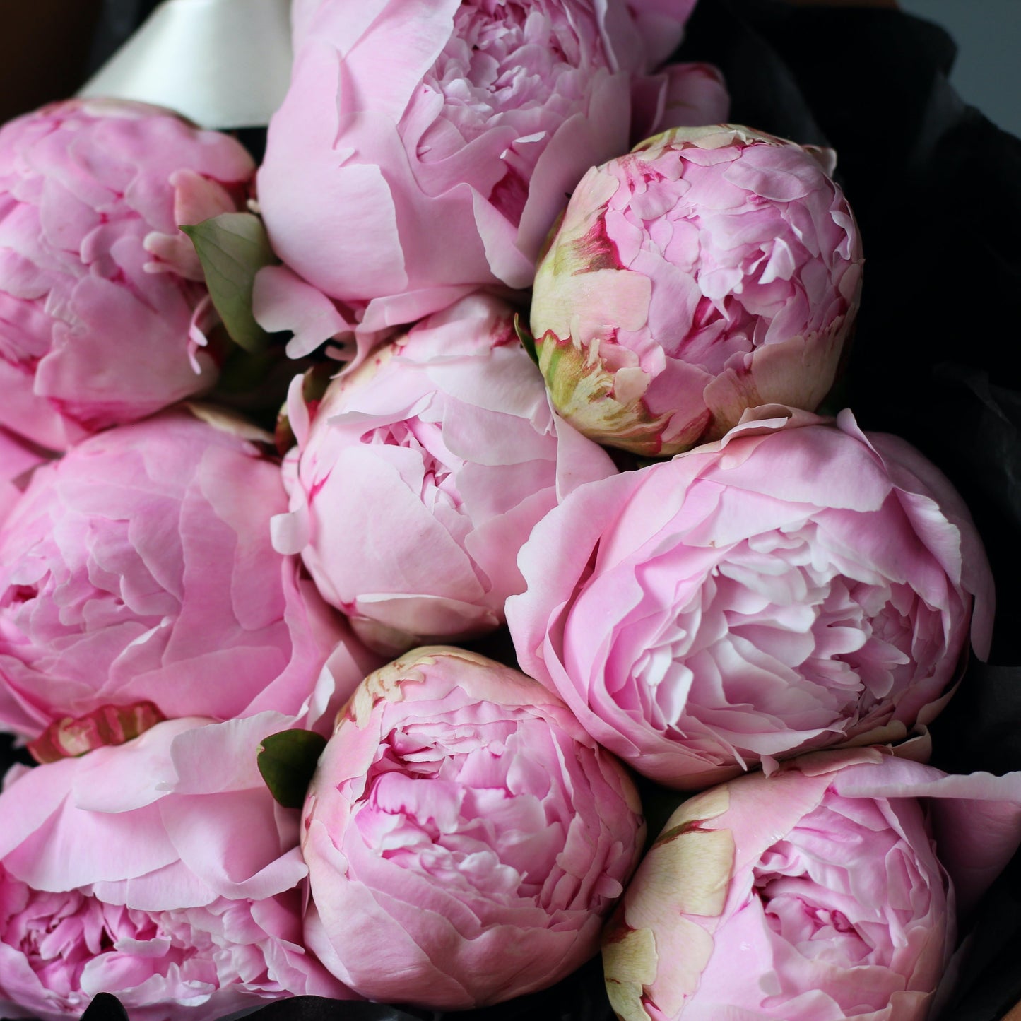 flower shop in Genoa delivery bouquet of Peonies