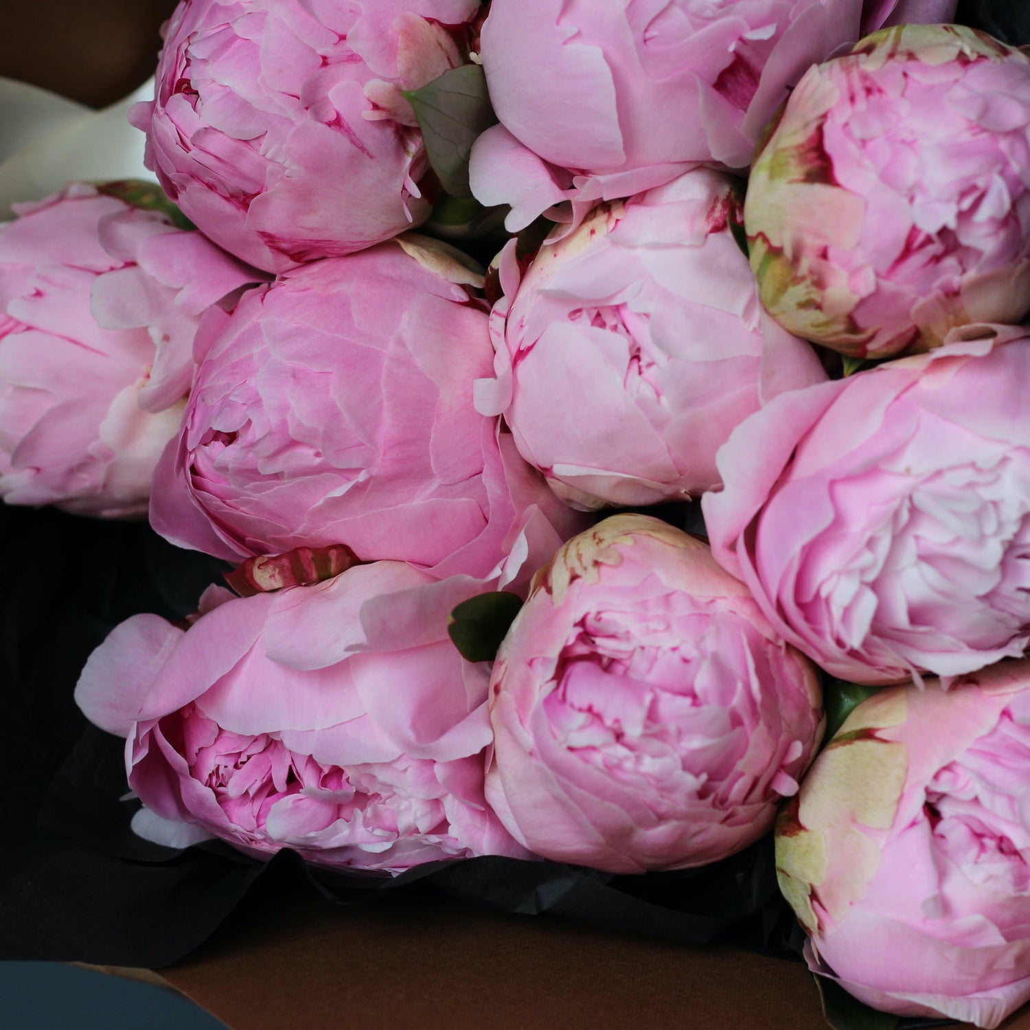 send flowers Genoa  bouquet of Peonies