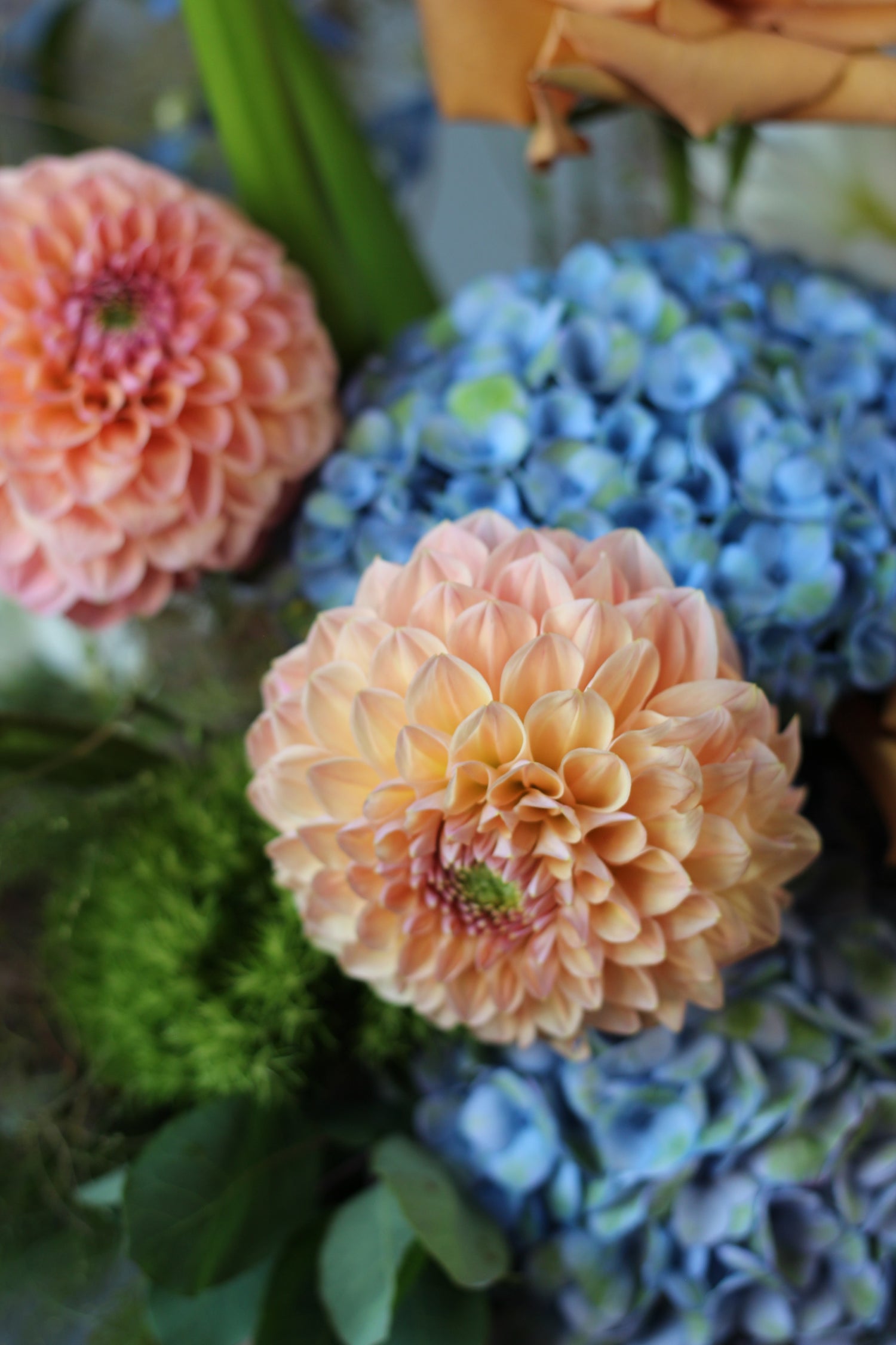 consegna fiori genova interior flowers