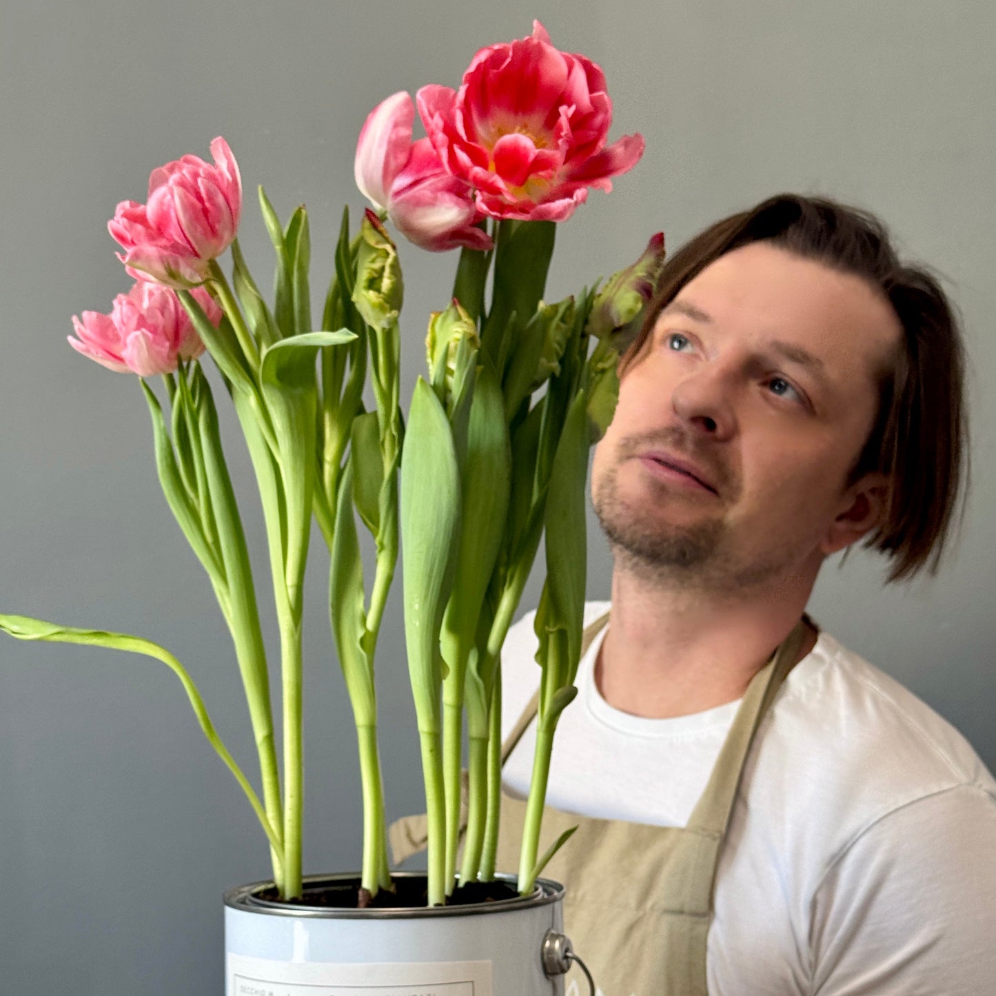 Secchiello di bulbi di tulipani 