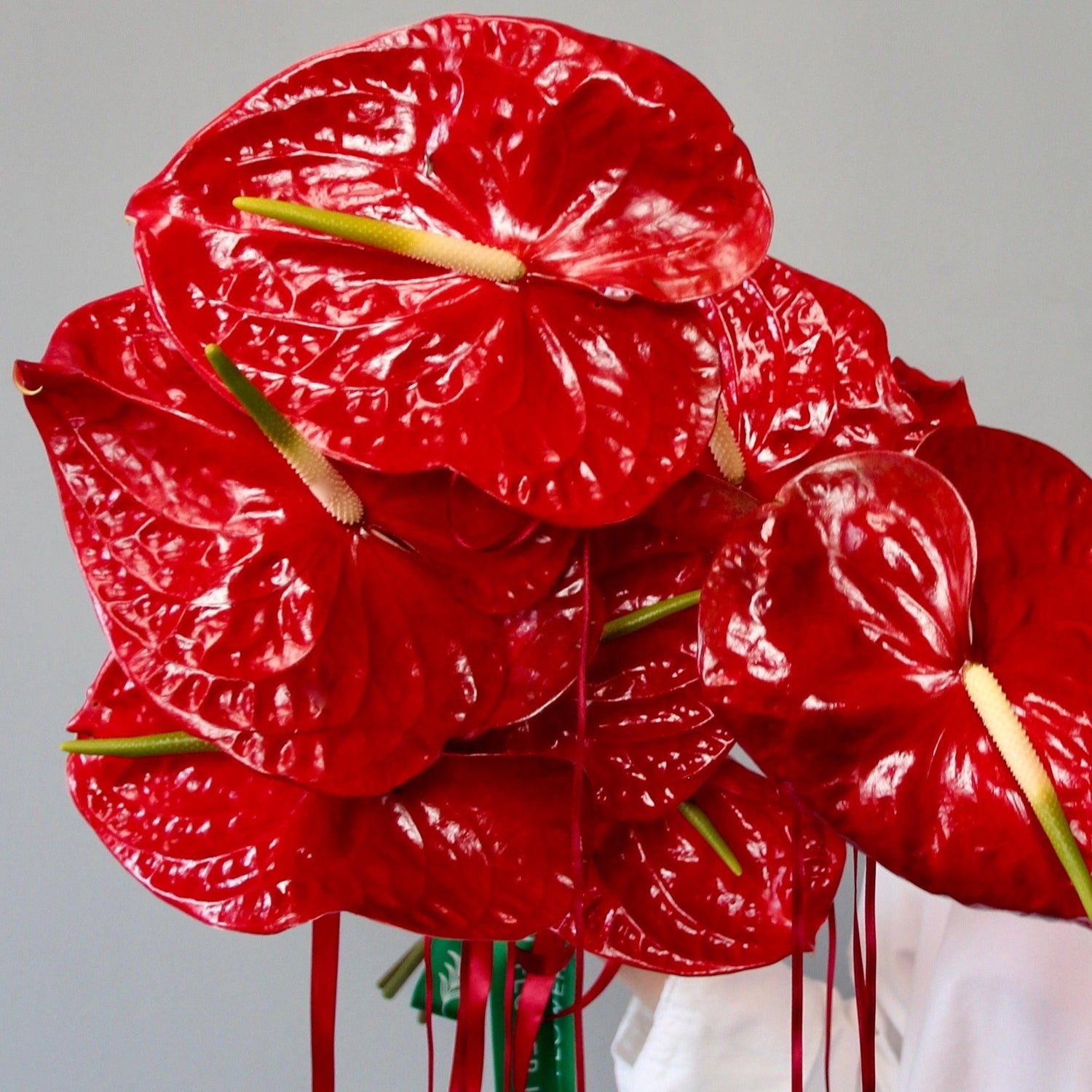 red bouquet of flowers genova Bouquet of Flowers