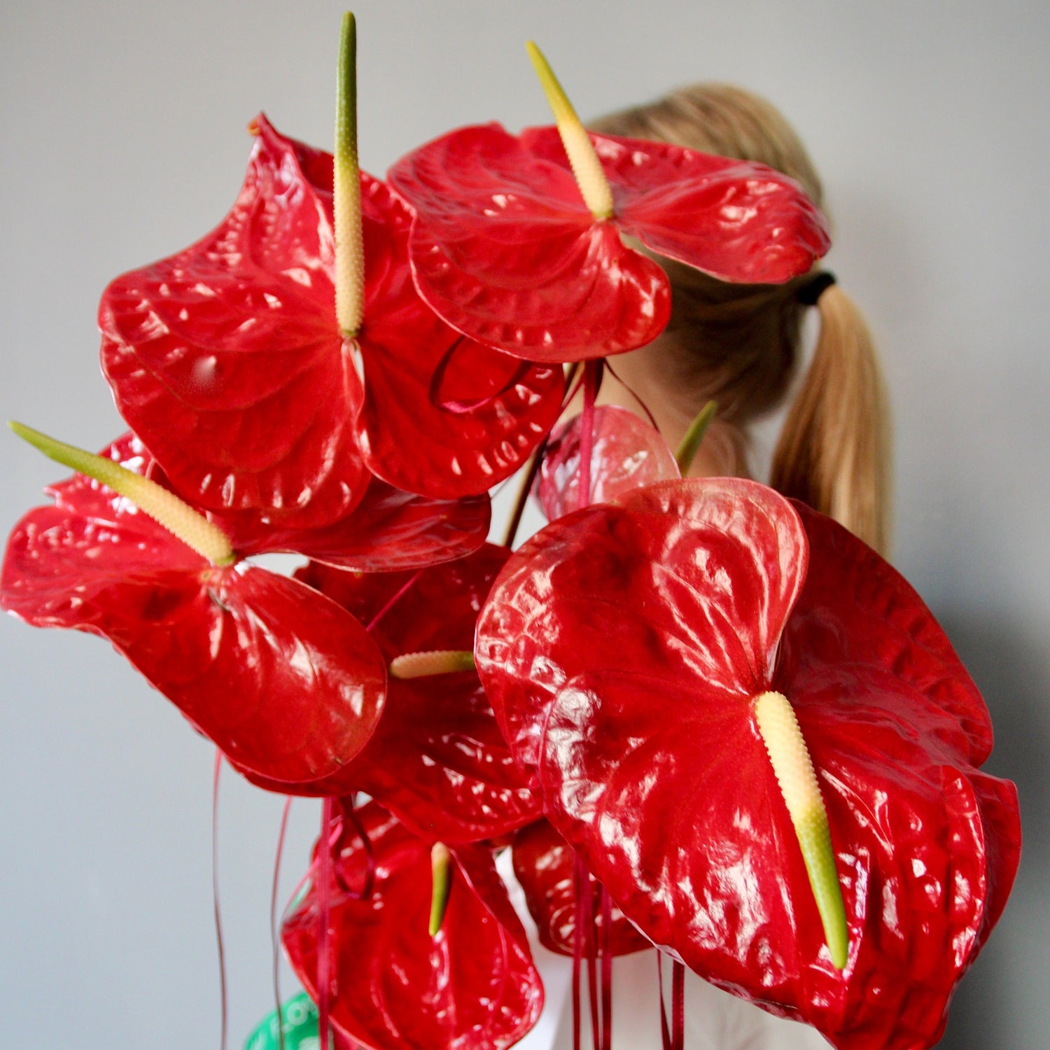 red anthurium delivery genova Bouquet of Flowers