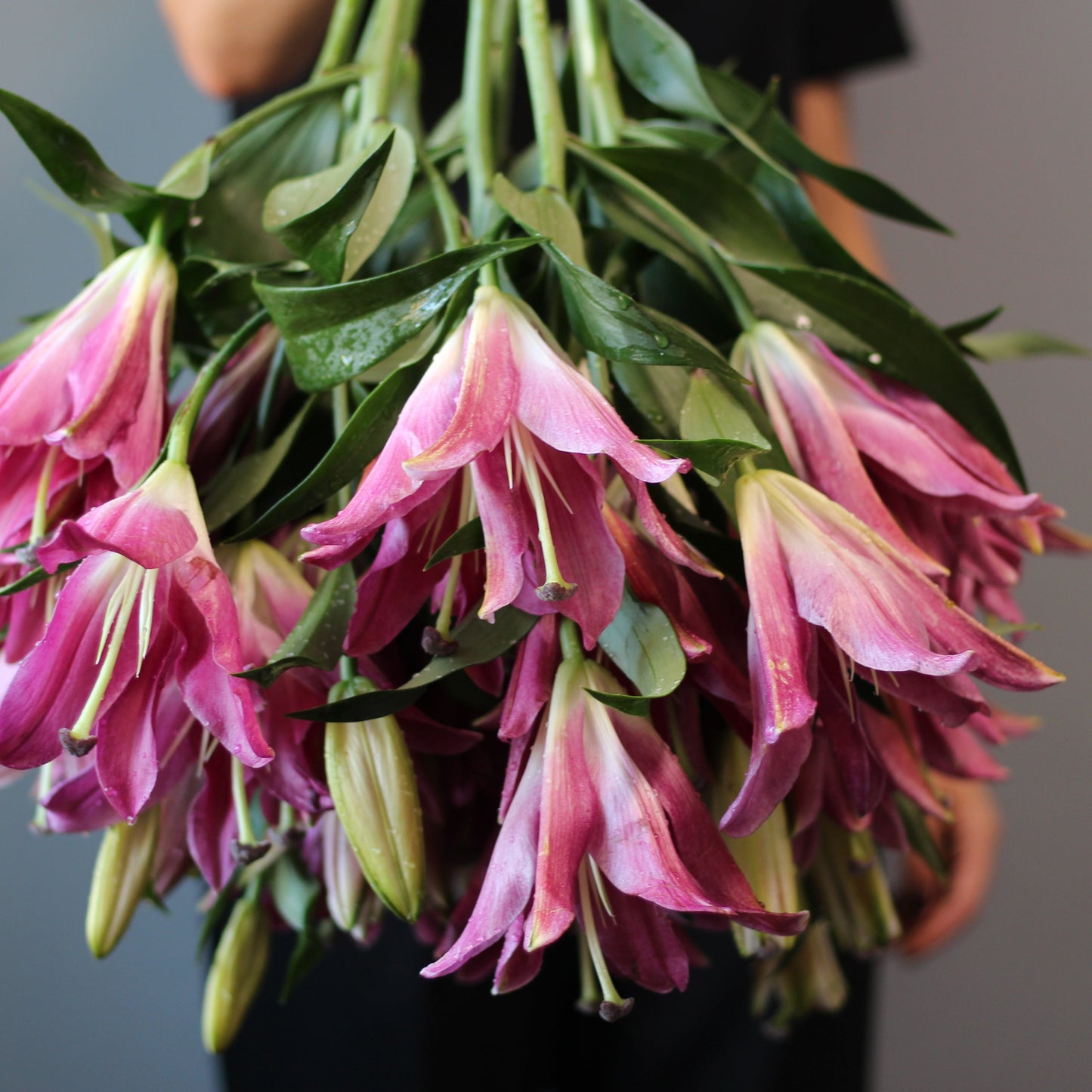 yacht flowers Genoa