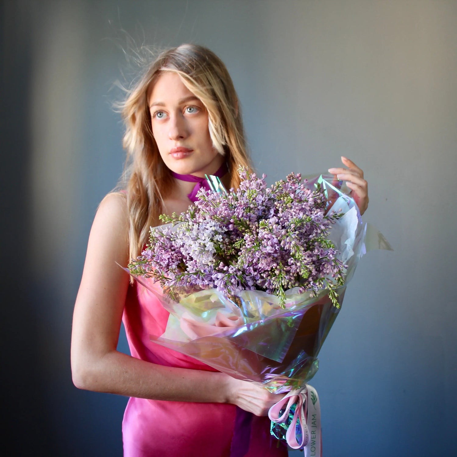 blooms of Lilac