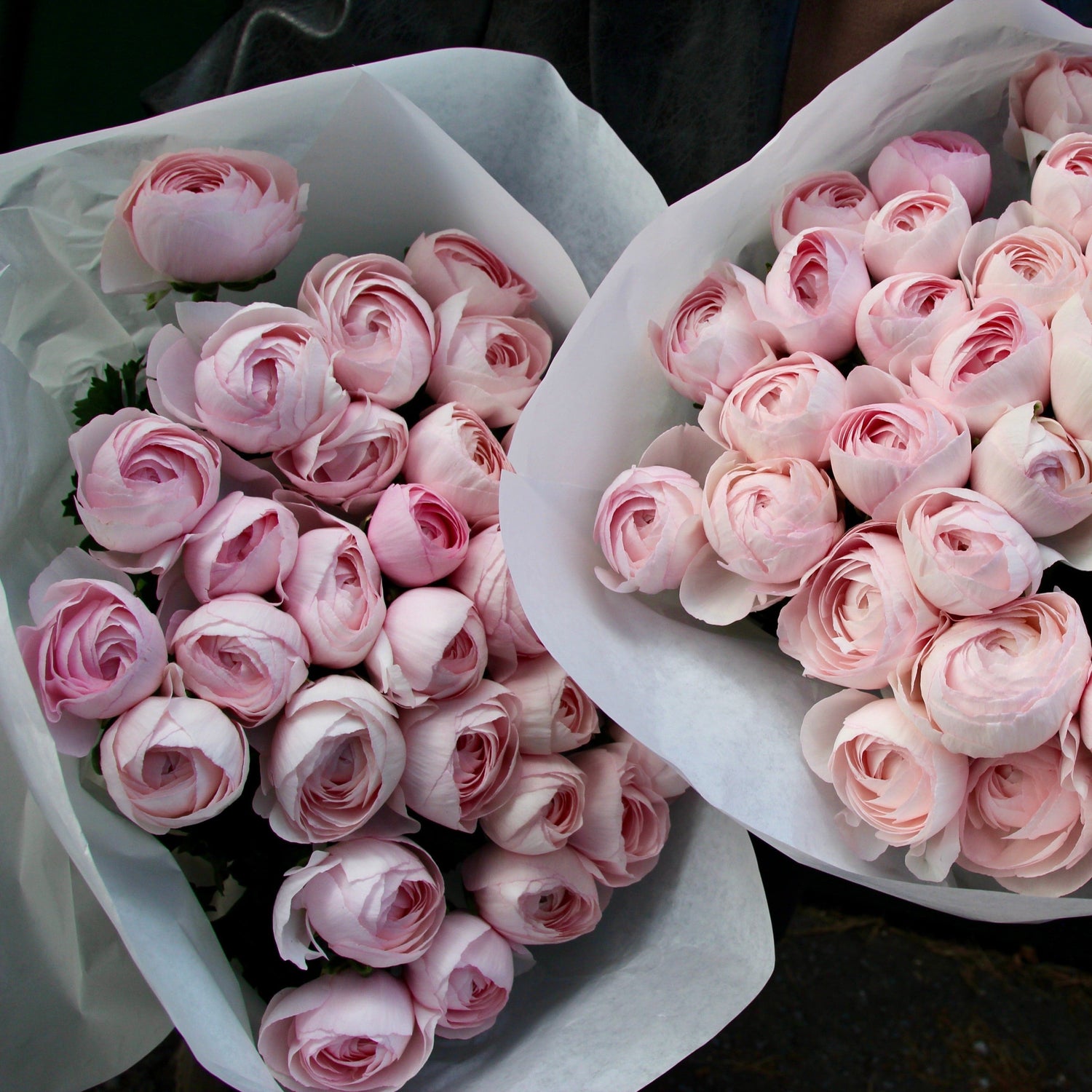 Pink ranunculus bouquet
 Bouquet of Flowers