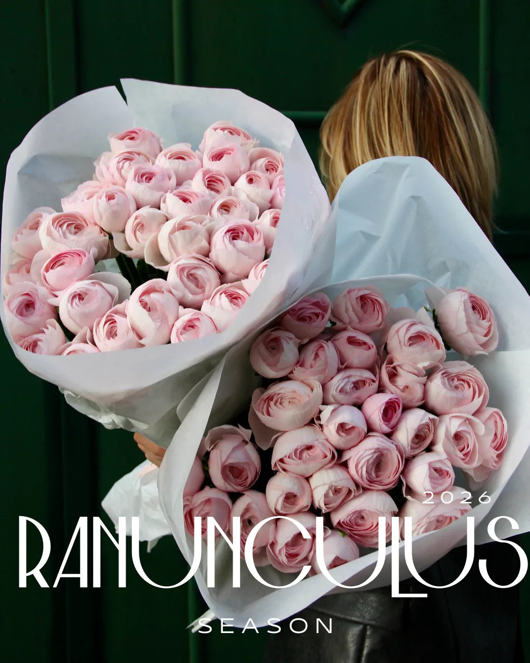 pink flowers two bouquets with girl store delivery italy