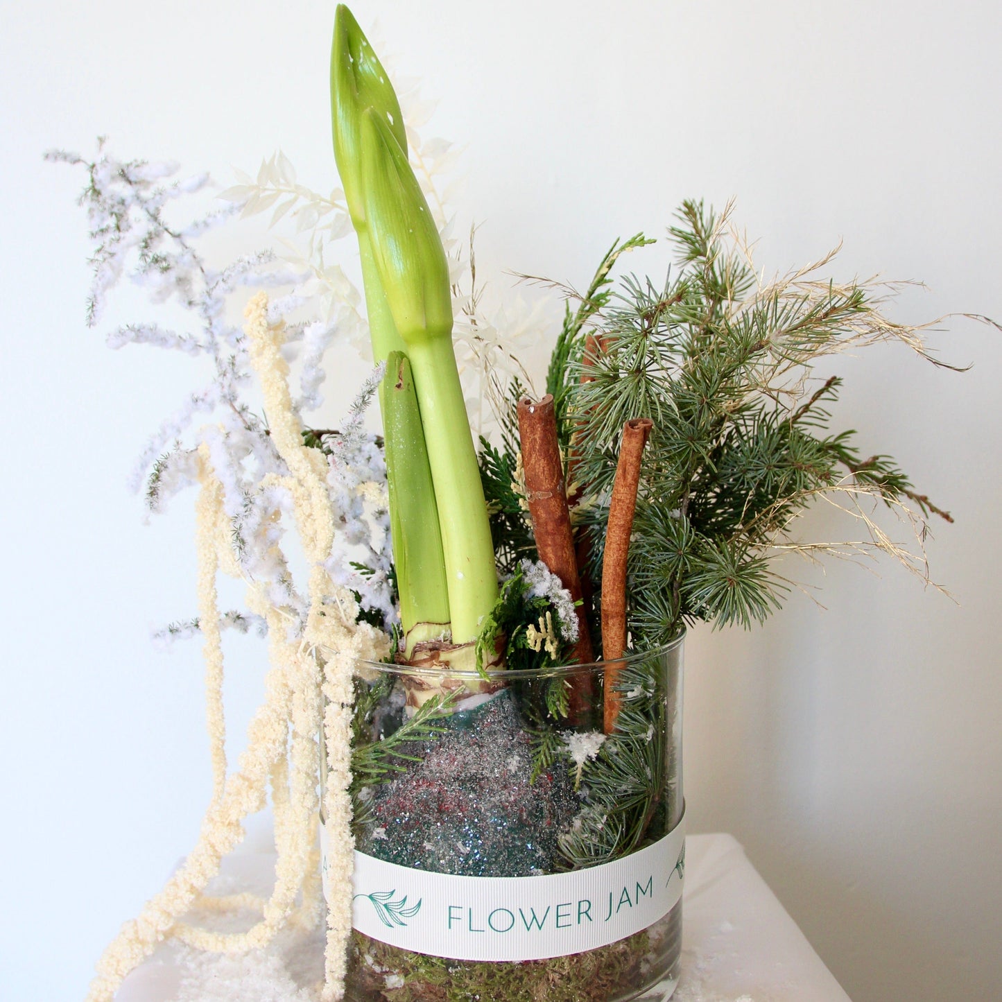 Christmas amaryllis wax bulb arrangement
