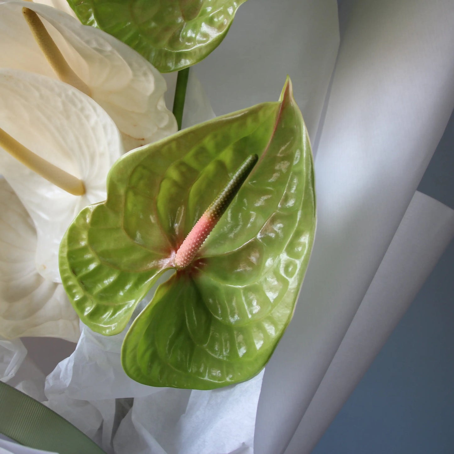 bouquet of white and green anthurims