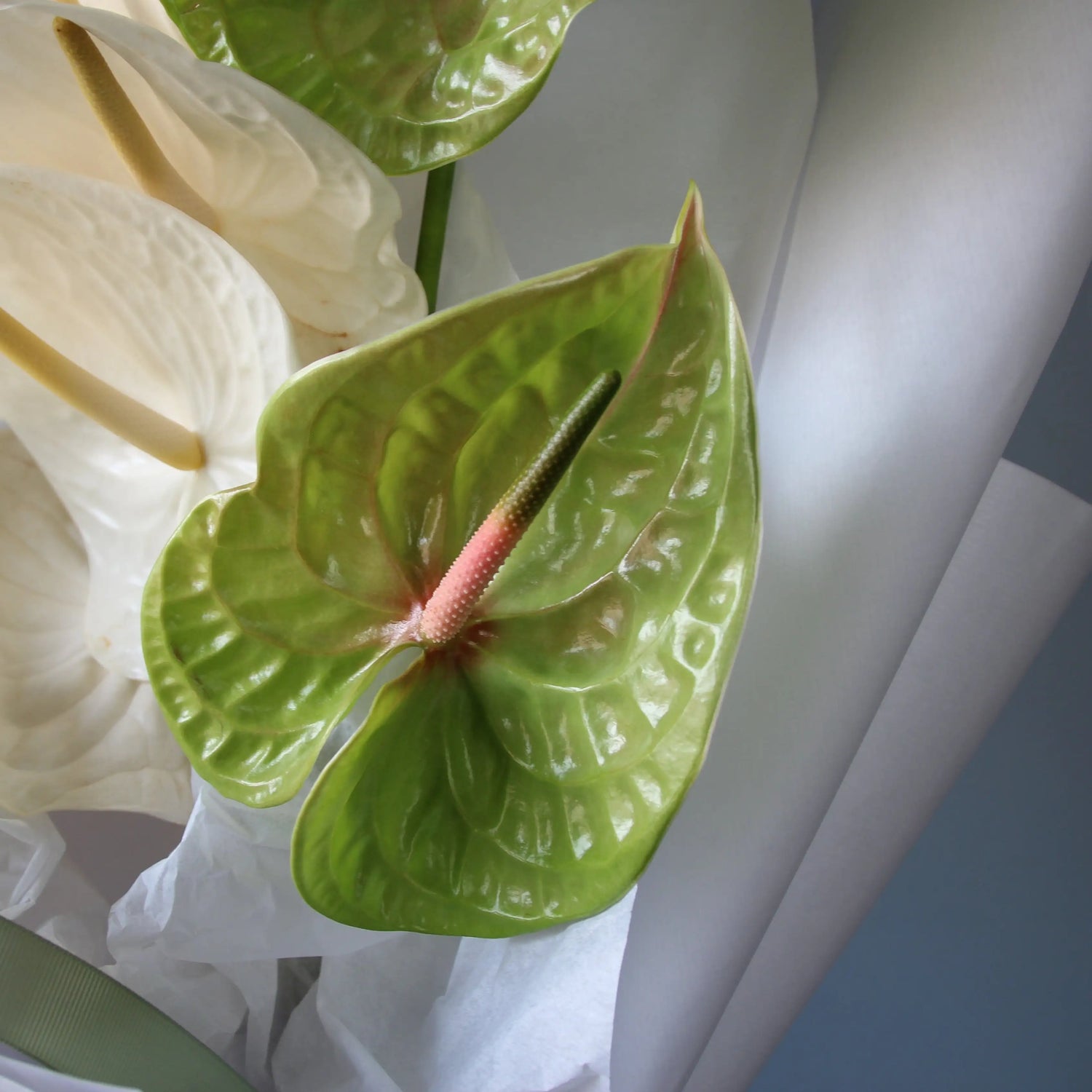 bouquet of white and green anthurims