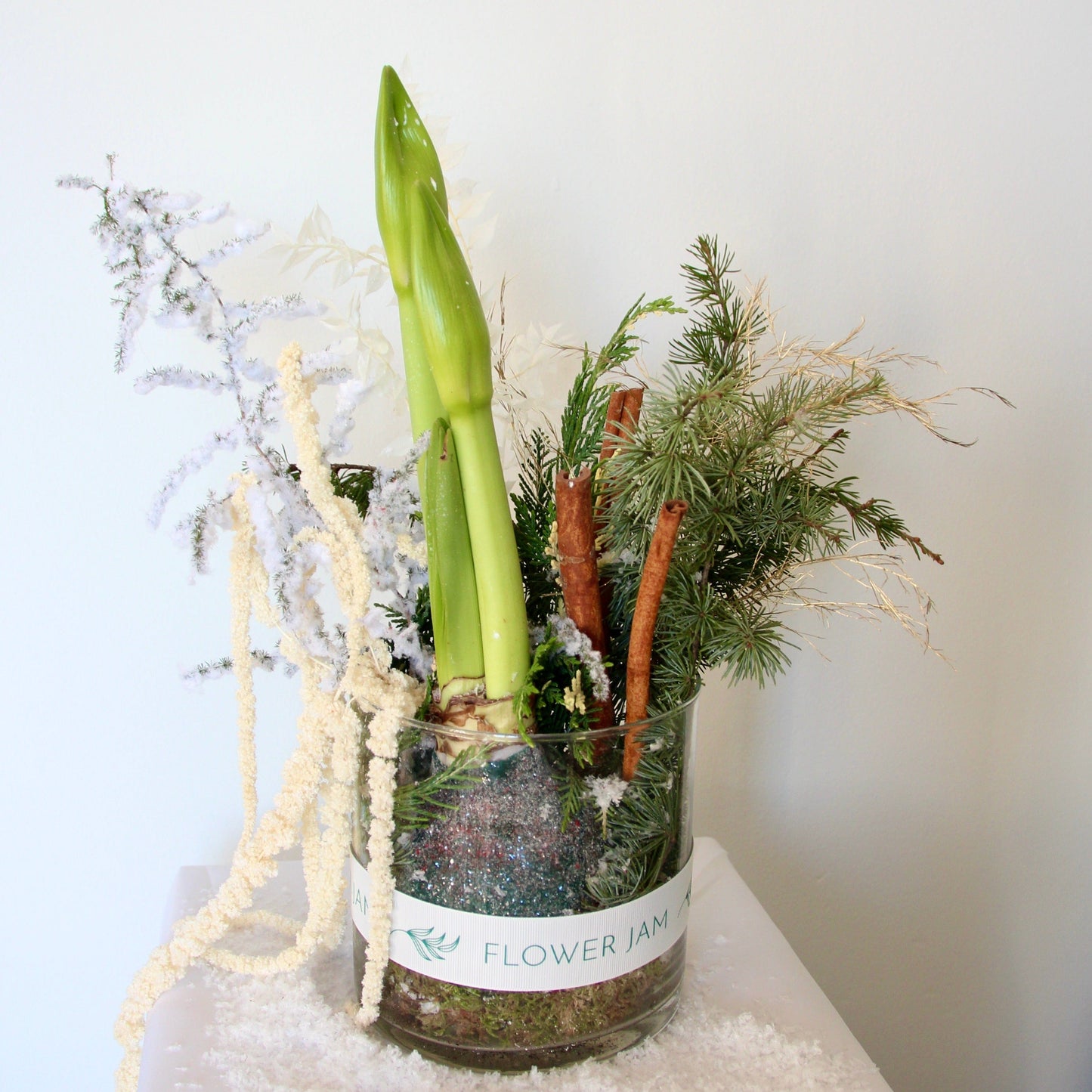 Amaryllis and cinnamon pine tree Christmas arrangement