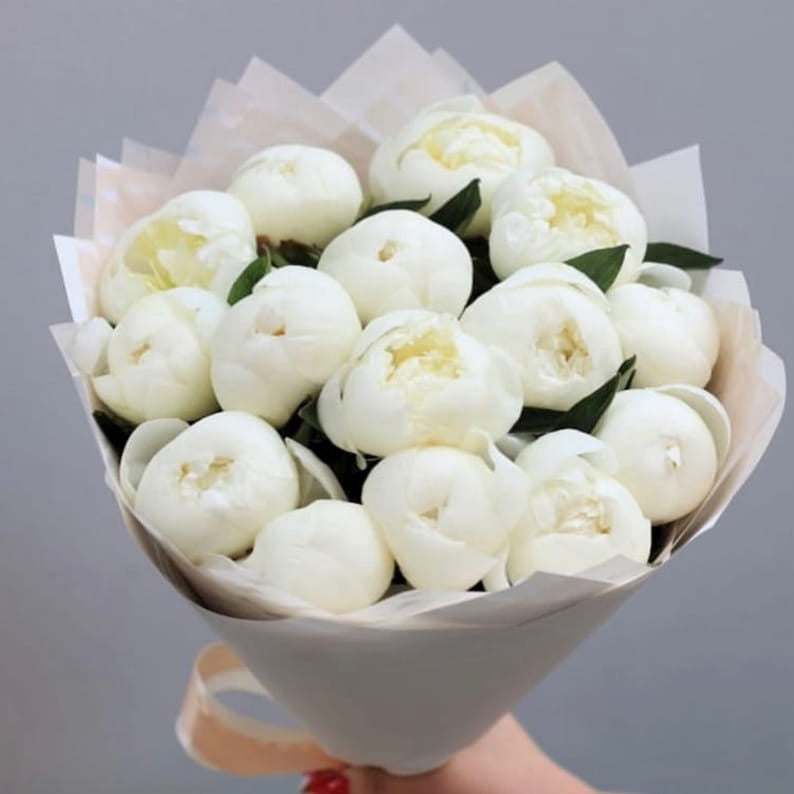 white peonie genova  product_type