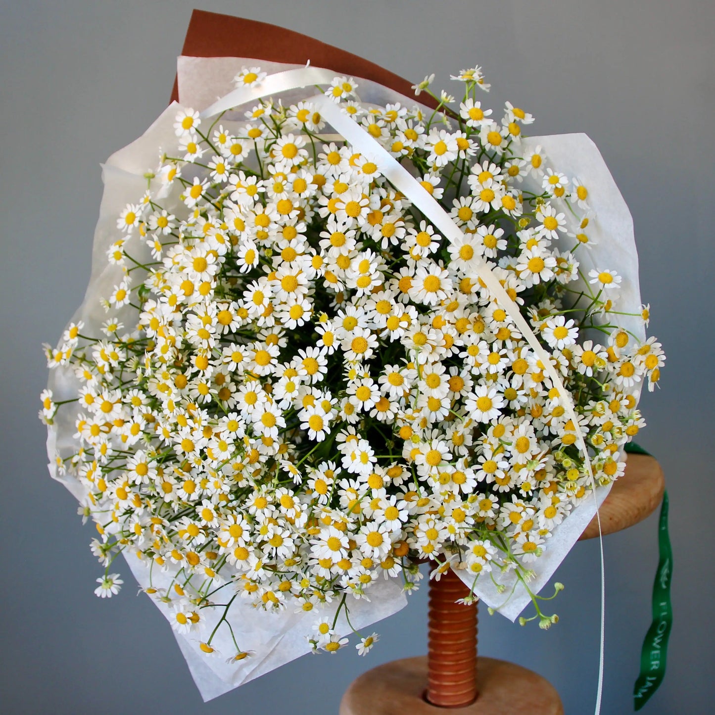 bouquet of camomile