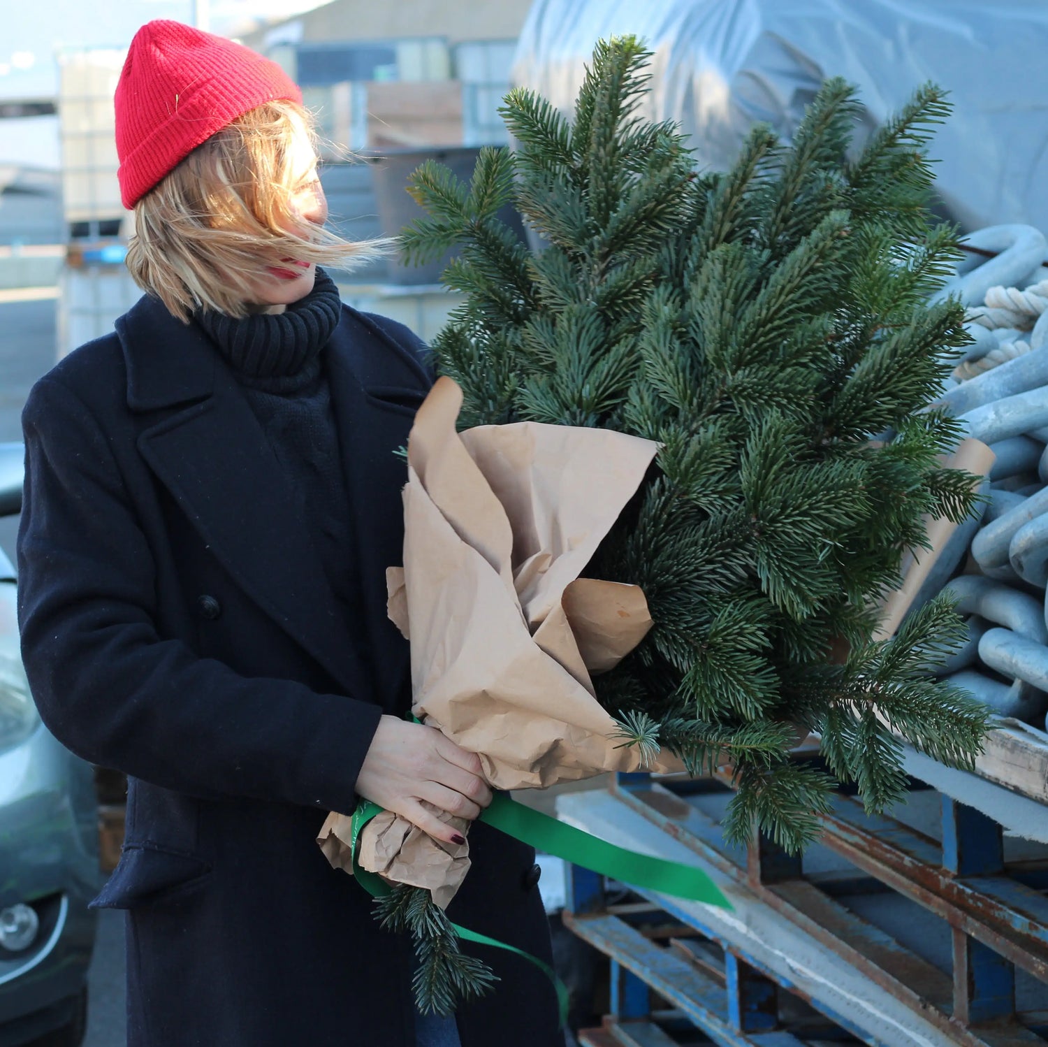 bunvh of christmas trees