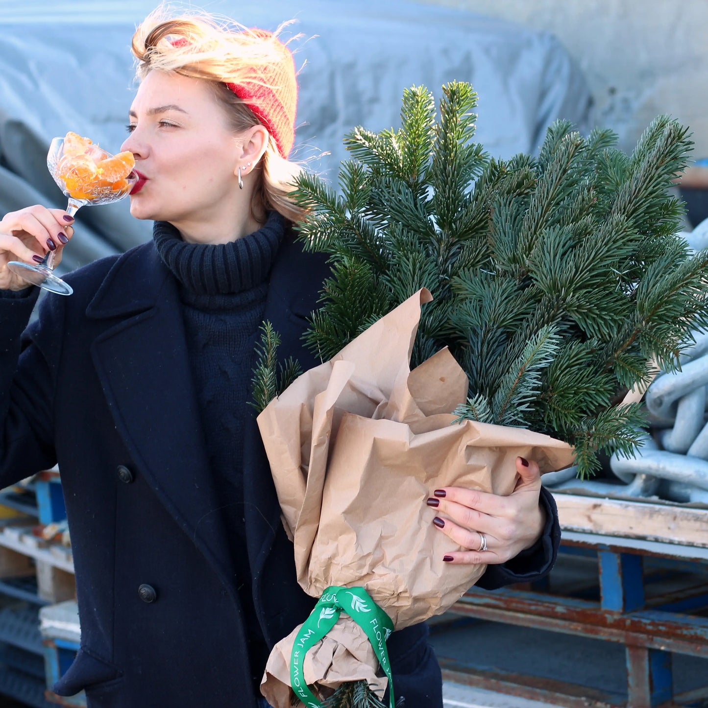 bunch of christmas trees
