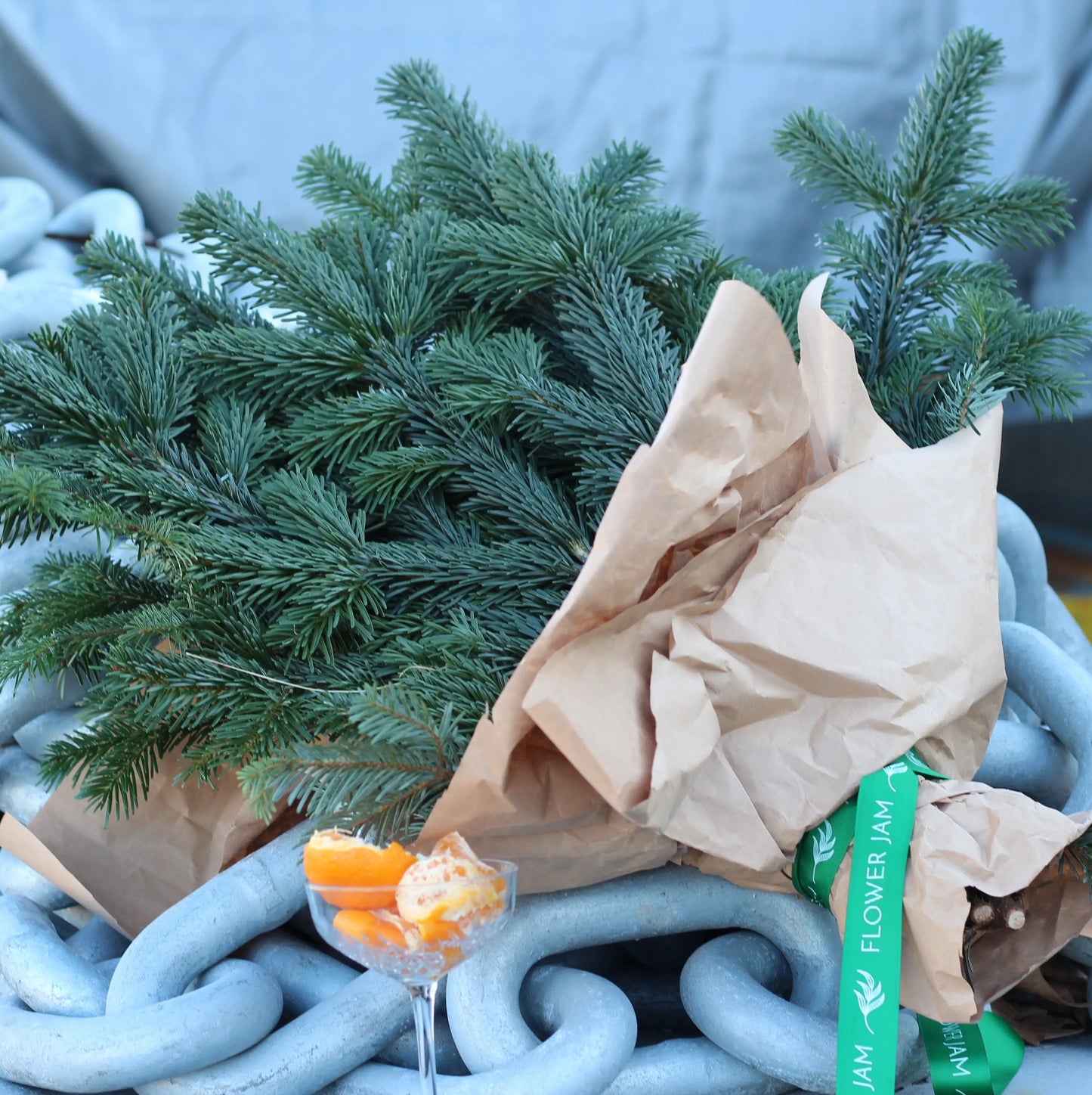 bunch of christmas trees