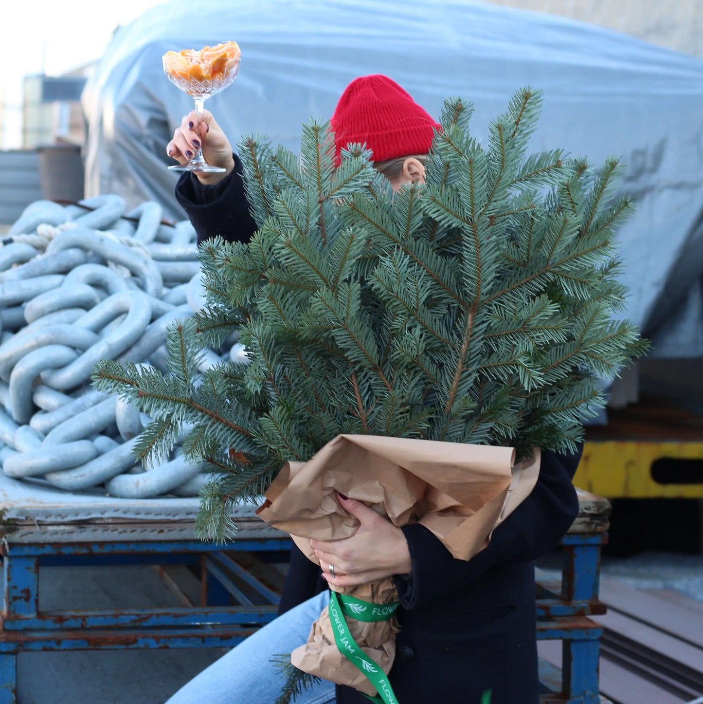 bunch of christmas trees