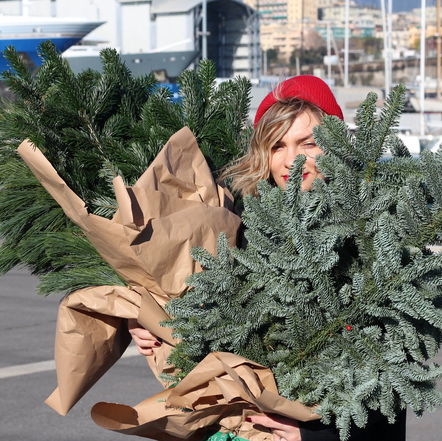 bunch of christmas tree