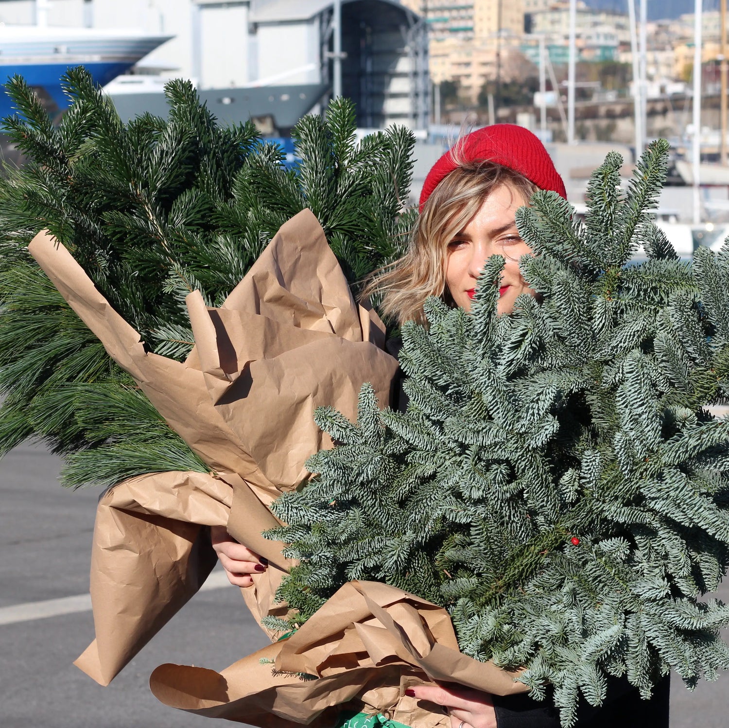 bunch of christmas tree