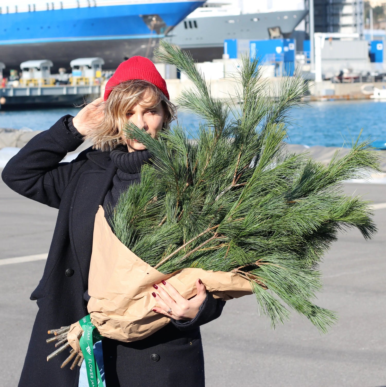 bunch of christmas trees