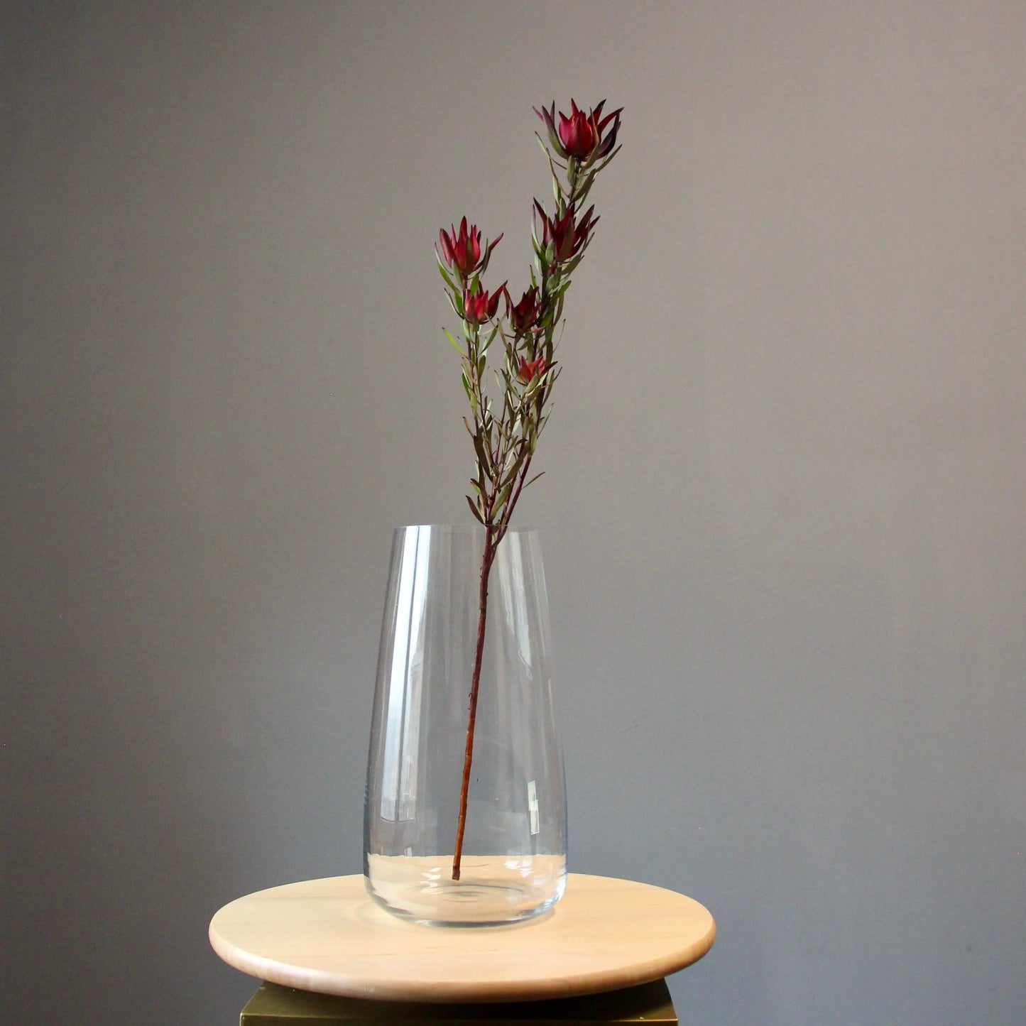 Cone-Shaped Vase delivery in Genoa Vases