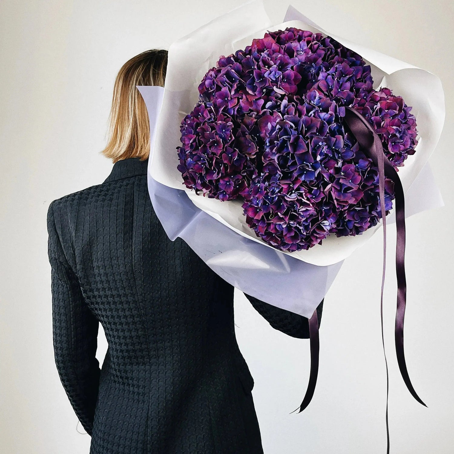 purple hortencia