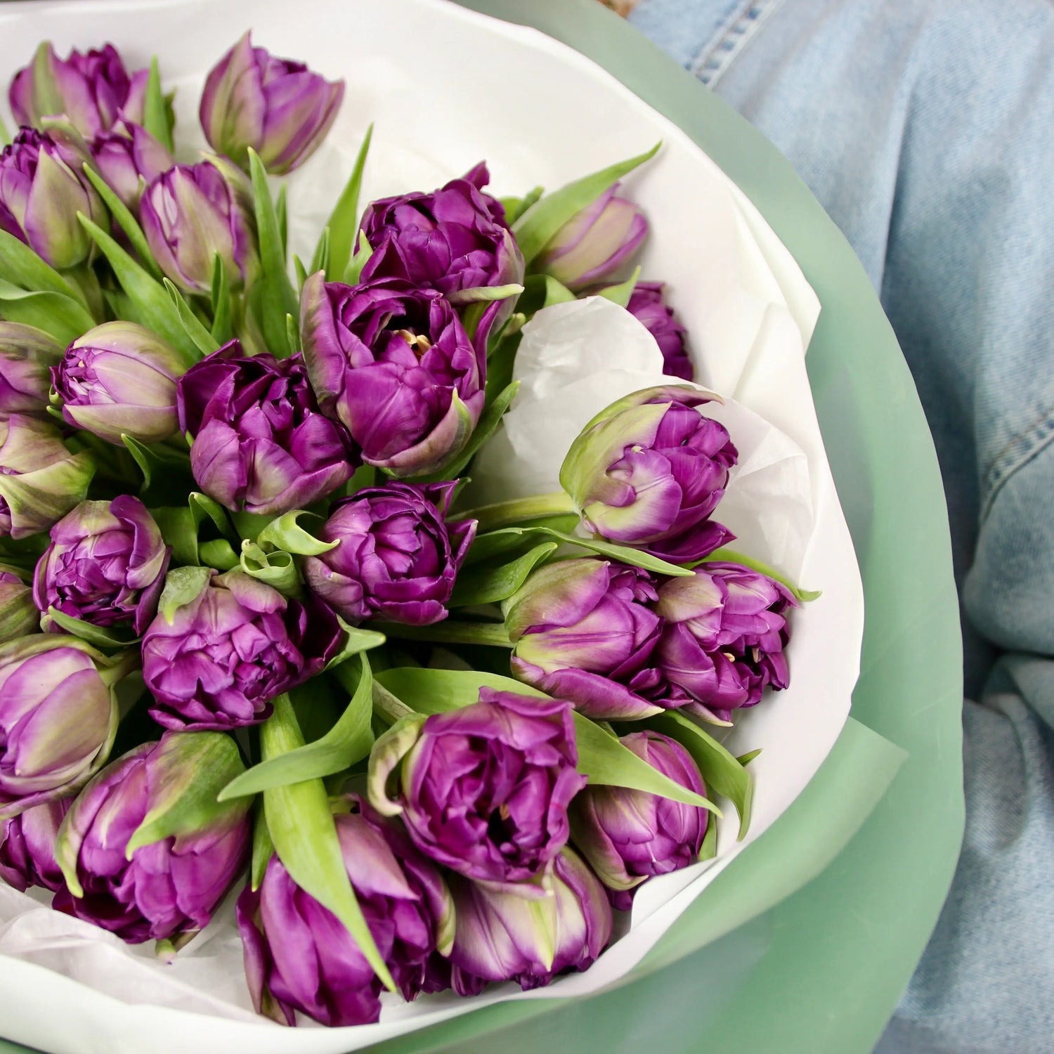 bouquet of purple double tulips