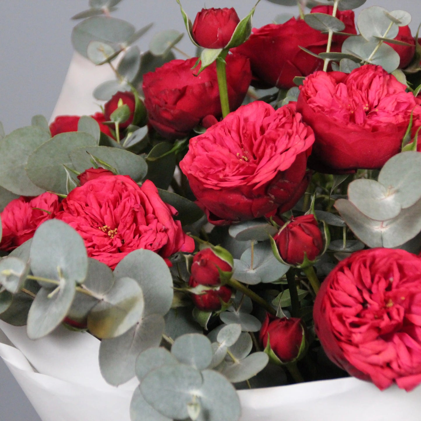 a bouquet of red english garden roses and eucalipt