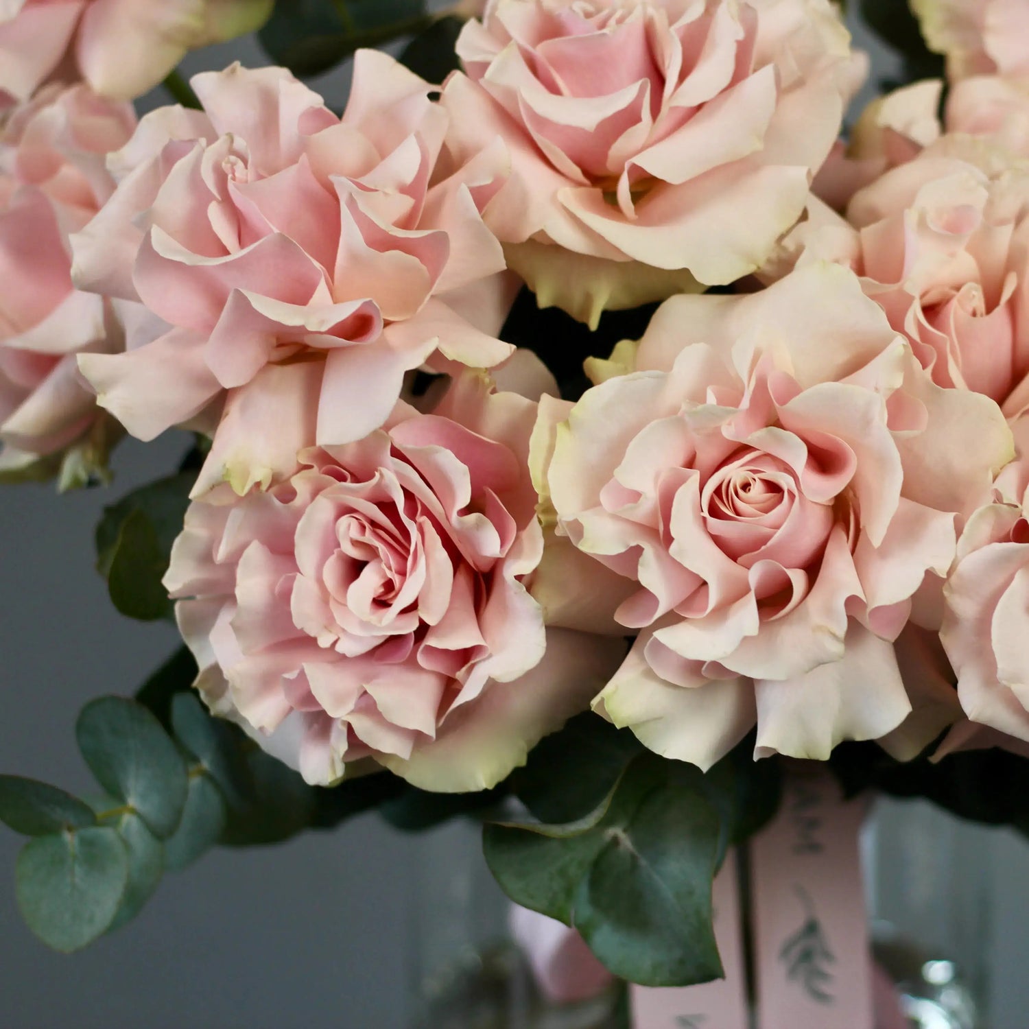 Bouquet of pink roses with green leaves on a dark background