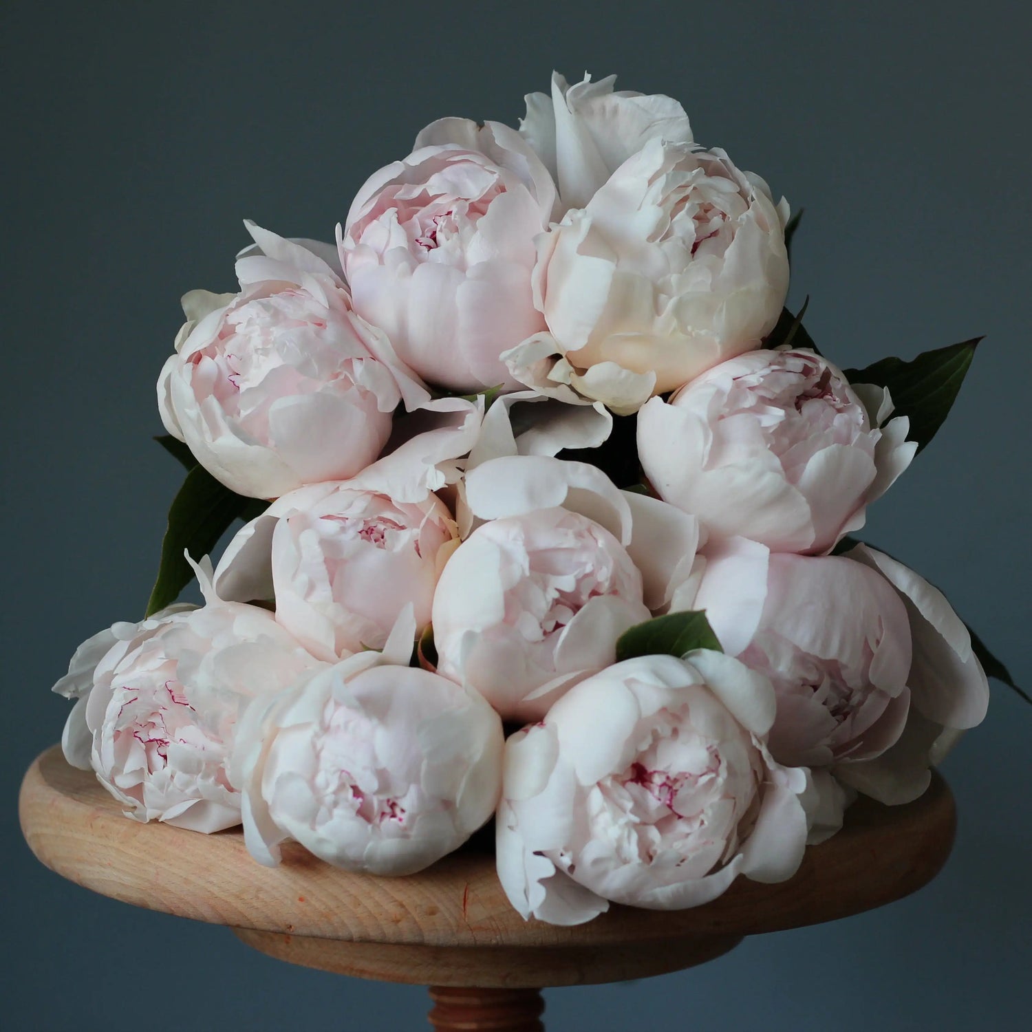 peonies delivery in Genoa liguria portofino bouquet of Peonies