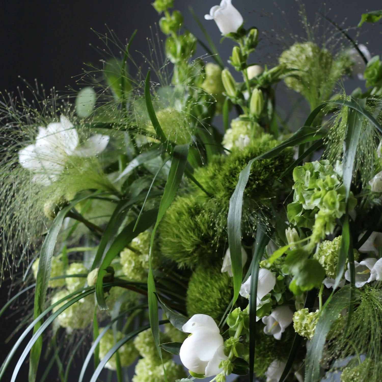 Bouquet of Viburnum, White and Sweet Peonies, Panicum grass, Green Trick, Talapsis and Campanula.