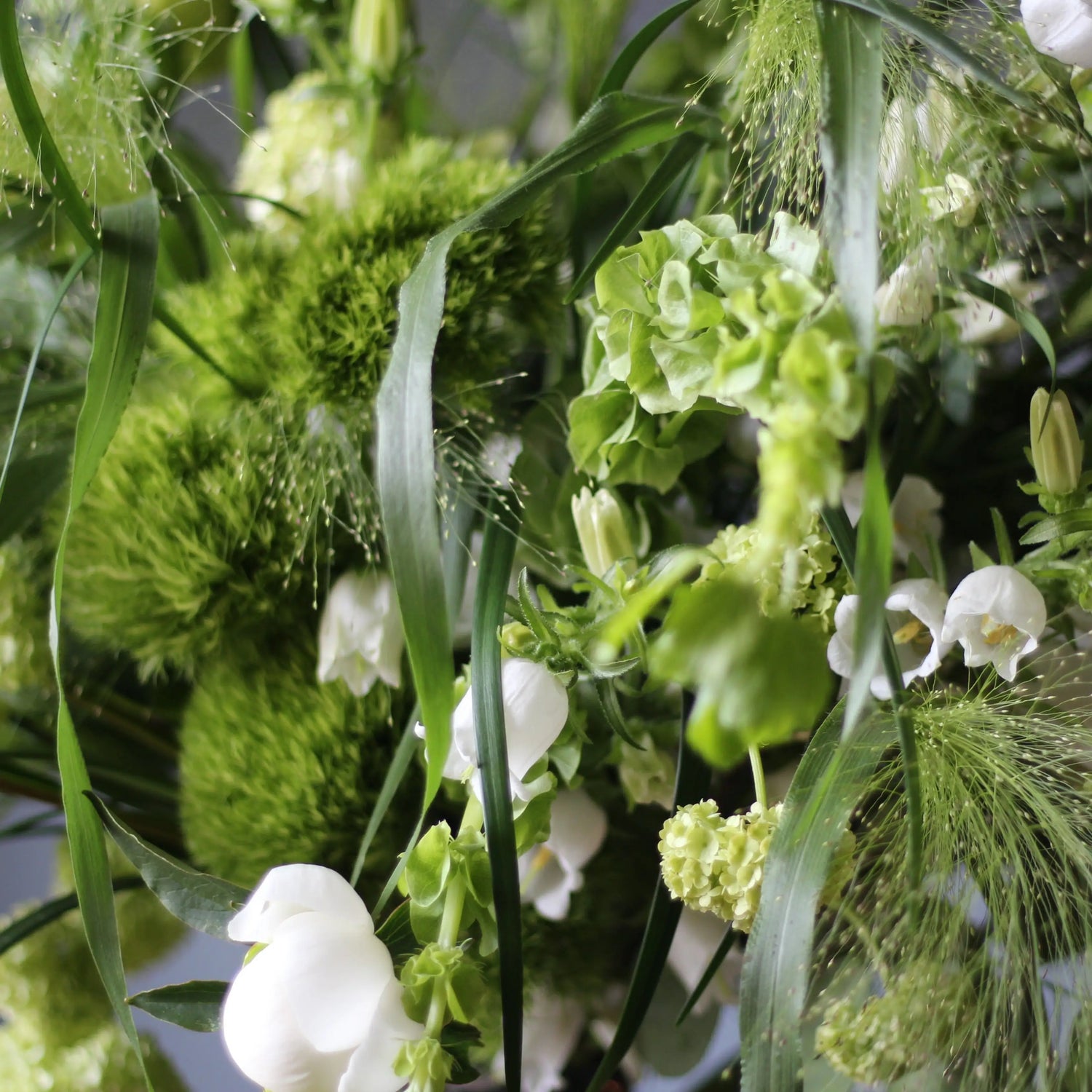 Bouquet of Viburnum, White and Sweet Peonies, Panicum grass, Green Trick, Talapsis and Campanula.
