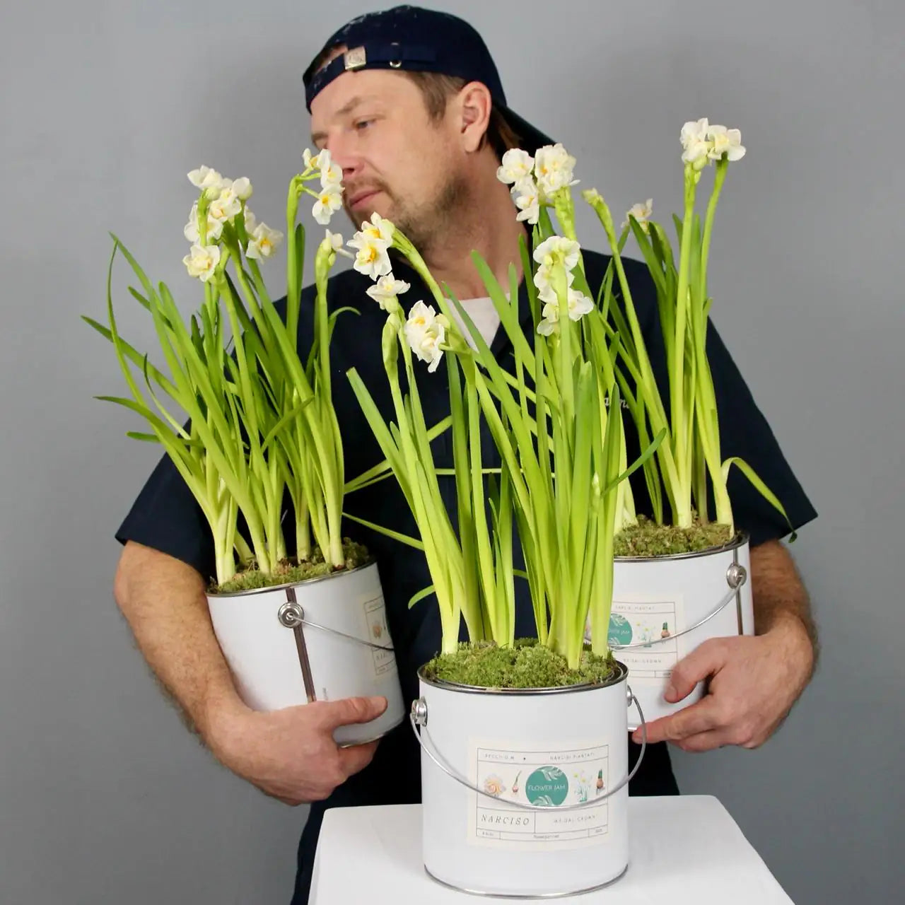 Medium bucket of Bridal Crown narcissus with creamy white petals and a soft orange center