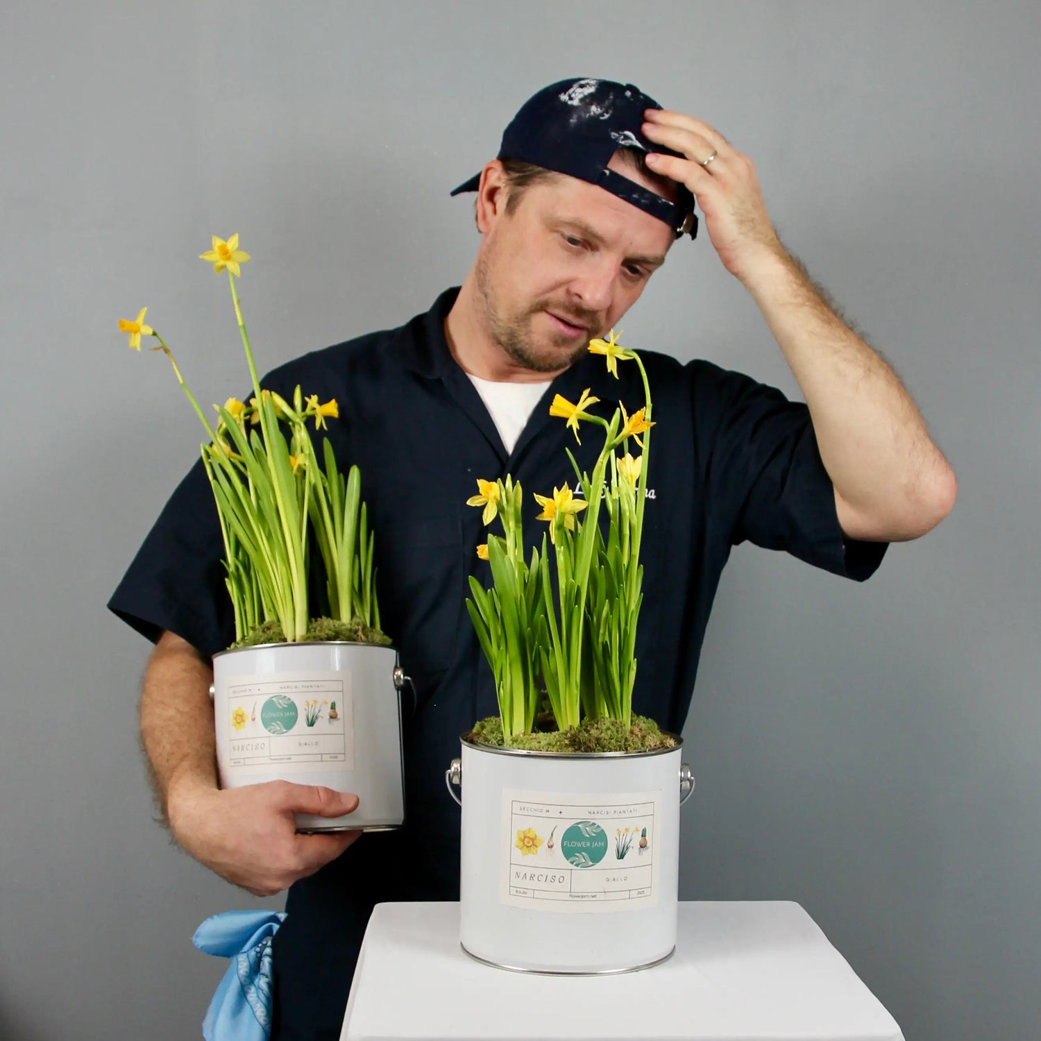 2 buvckets of yellow narcissus