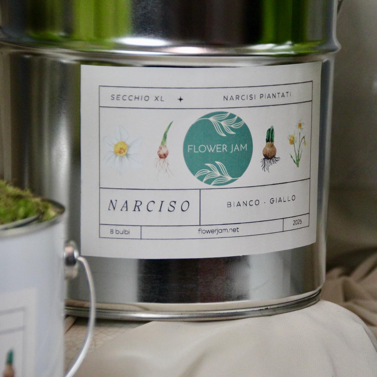 Large decorative bucket filled with white and yellow narcissus bulbs bulbs