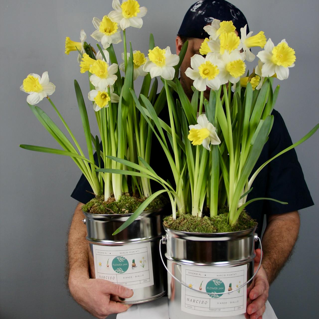 XL bucket with white and yellow narcissus blooms bulbs