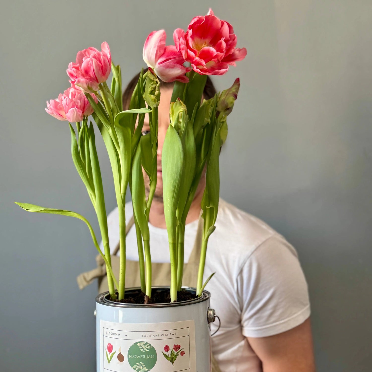 Man behind pink tulips