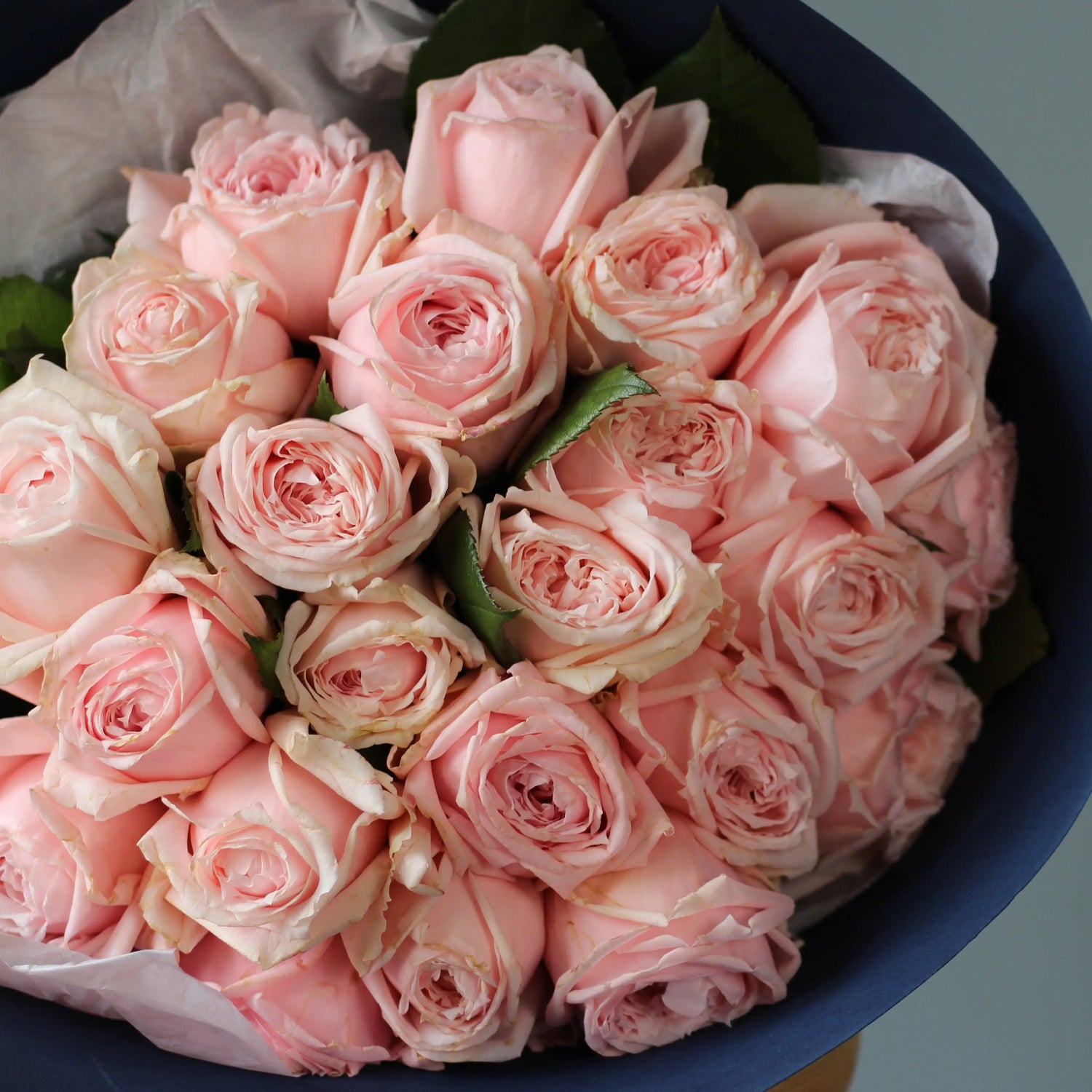 pink roses princess hitomi genova Flowers
