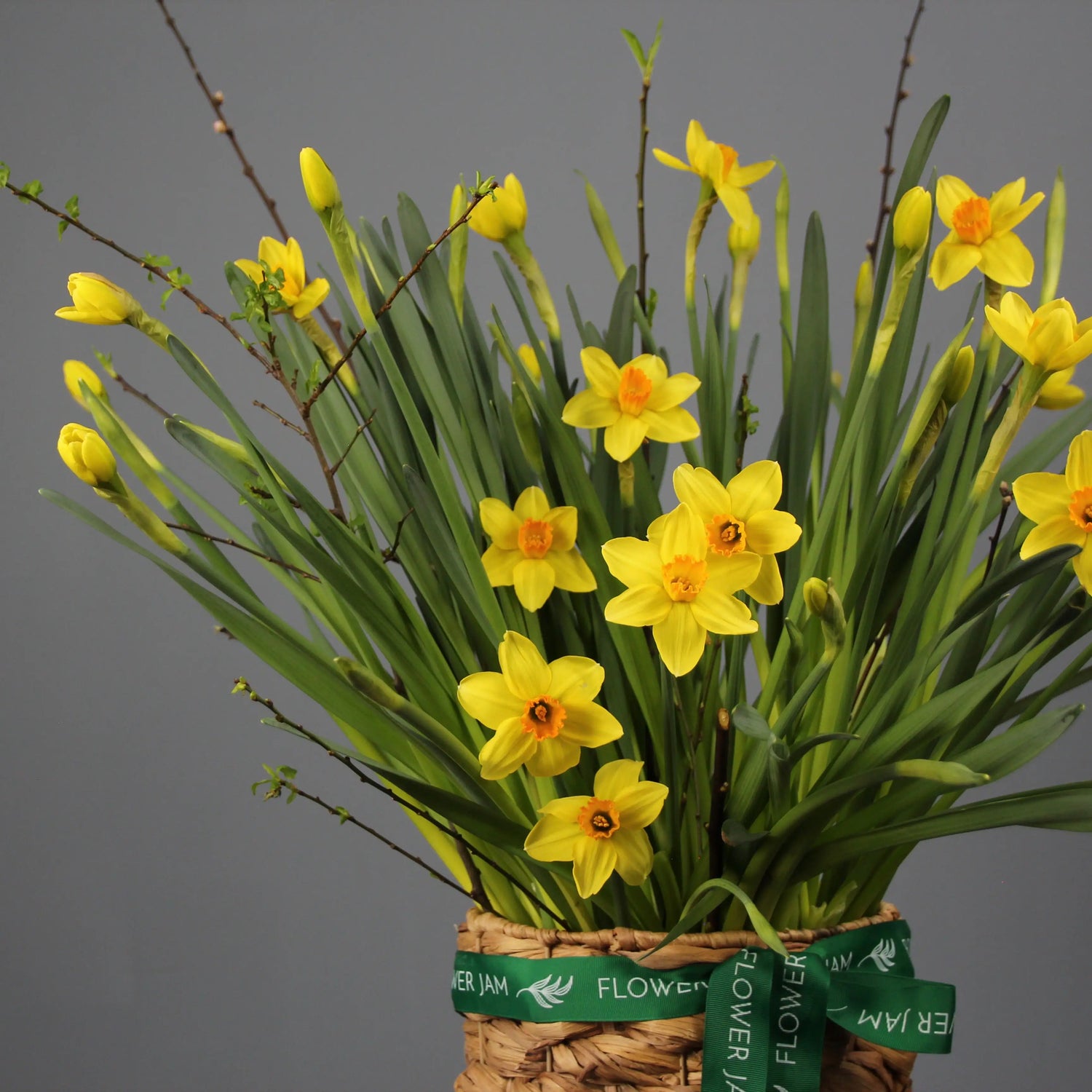 yellow daffodils in a basket