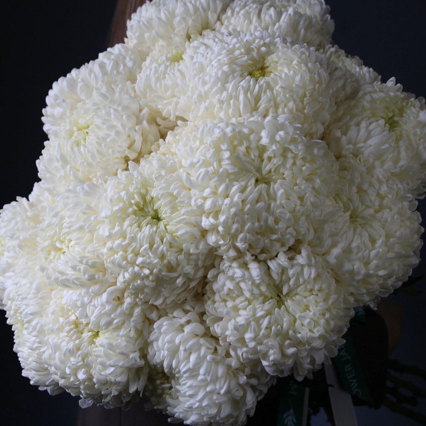 fiori bianchi genova consegna Bouquet of Flowers