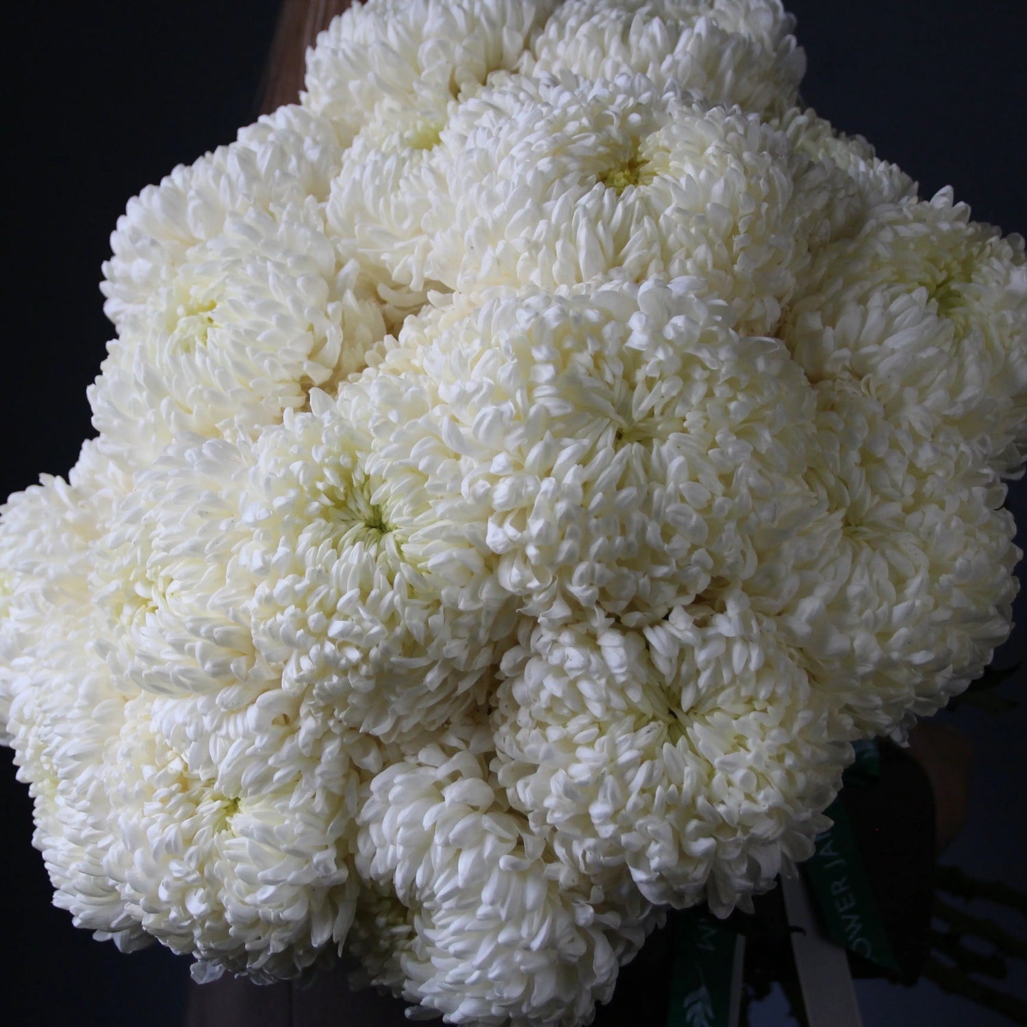 fiori bianchi genova consegna Bouquet of Flowers